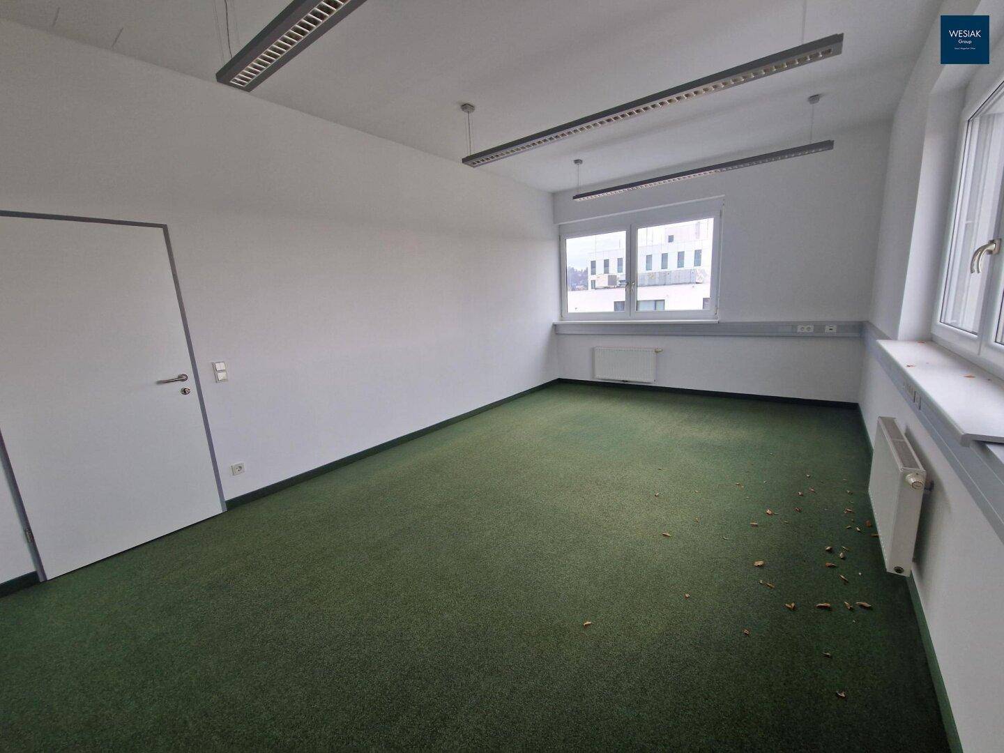 Leeres Büro mit Teppichboden, einem Fenster und einer weißen Tür.