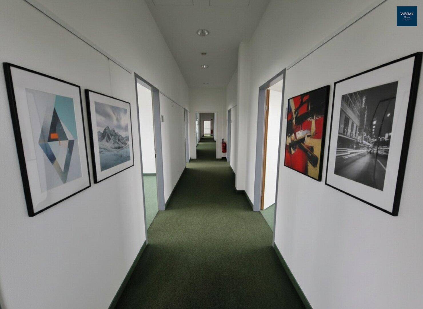 Langer Flur mit Teppichboden, weißen Wänden und gerahmten Bildern als moderne Dekoration.