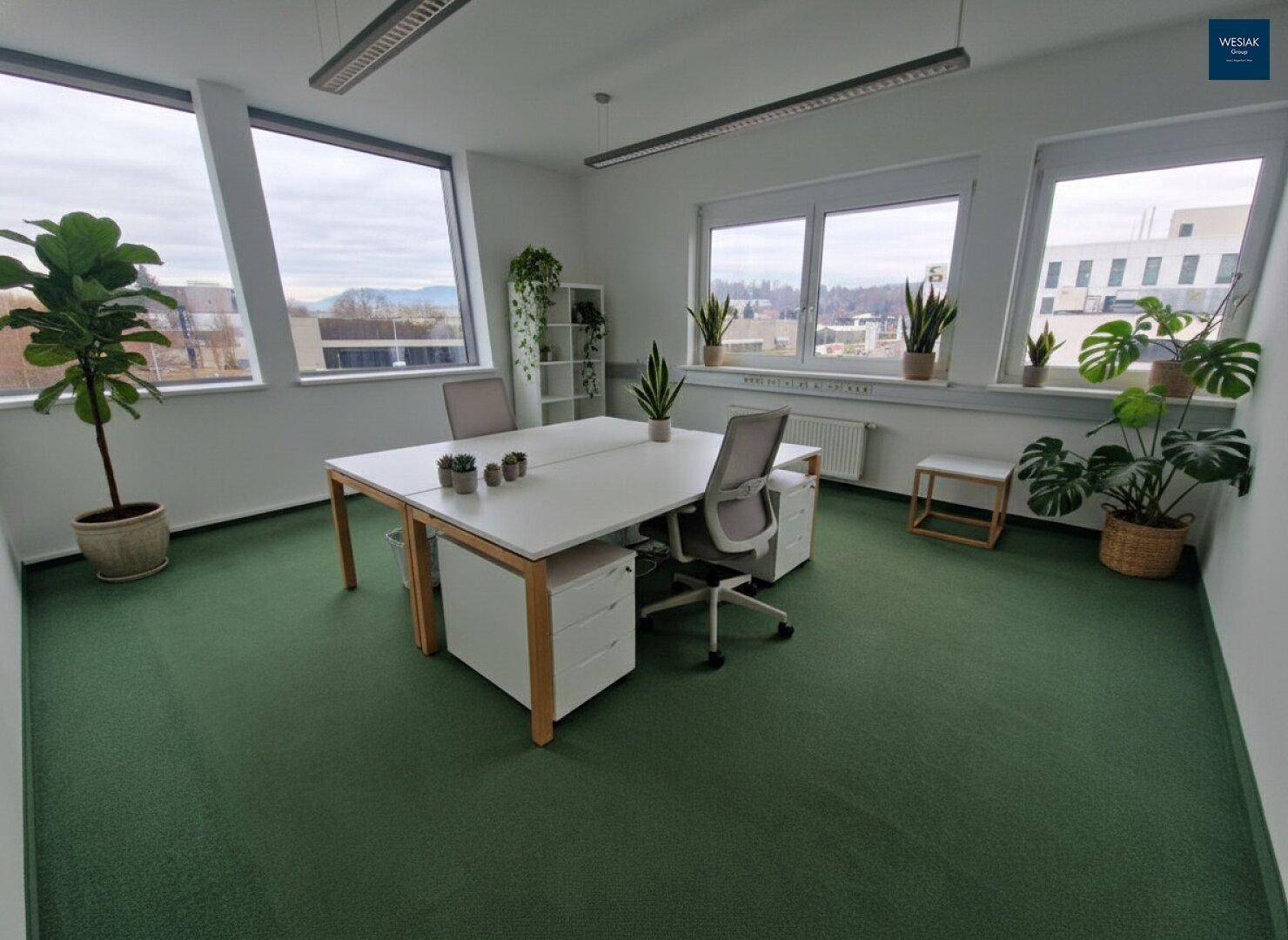 Helles Büro mit Teppichboden, großen Fenstern und mehreren Arbeitsplätzen mit Pflanzen.