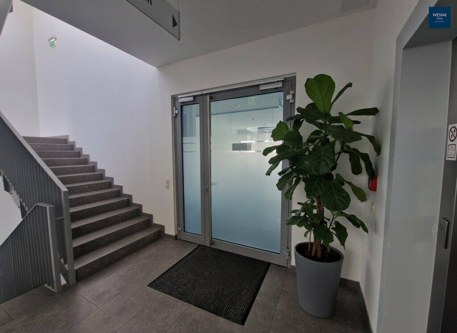 Helles Treppenhaus mit Fliesenboden, Glasdoppeltür und einer großen Grünpflanze im Eingangsbereich.