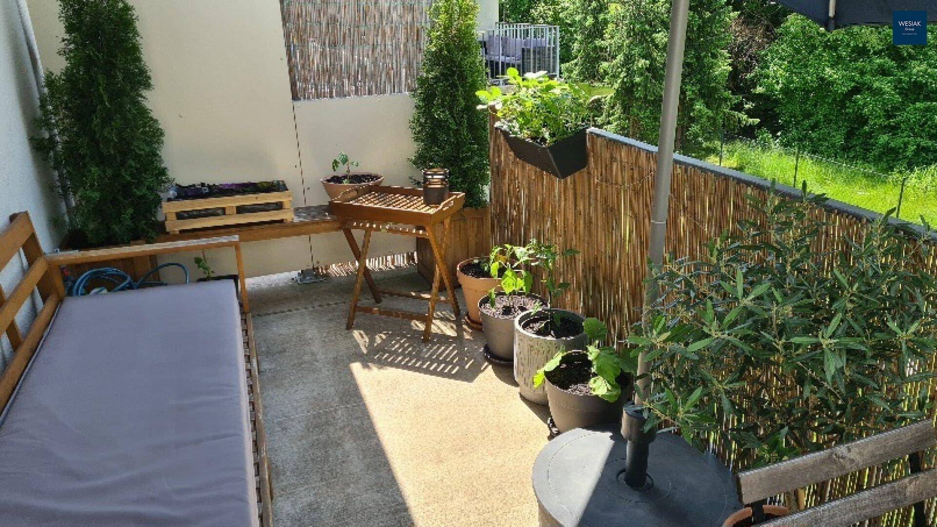 Gemütliche Terrasse mit Sitzgelegenheiten und Pflanzen, umgeben von einem Sichtschutz.