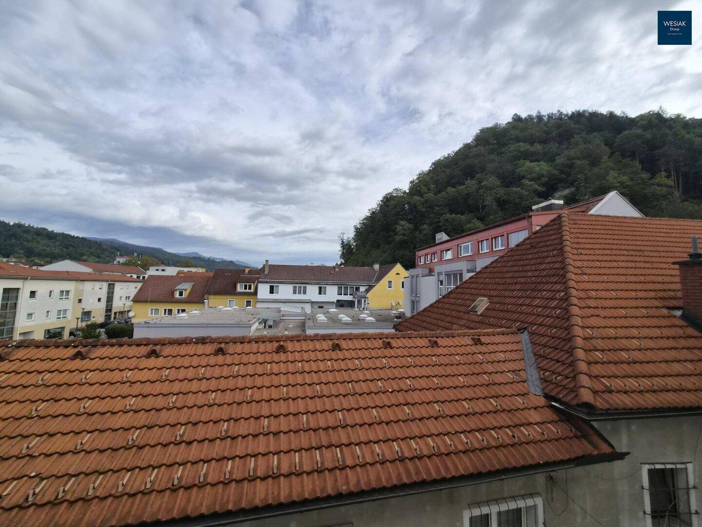Panoramablick über die roten Ziegeldächer der Nachbarschaft und die bewaldeten Berge.