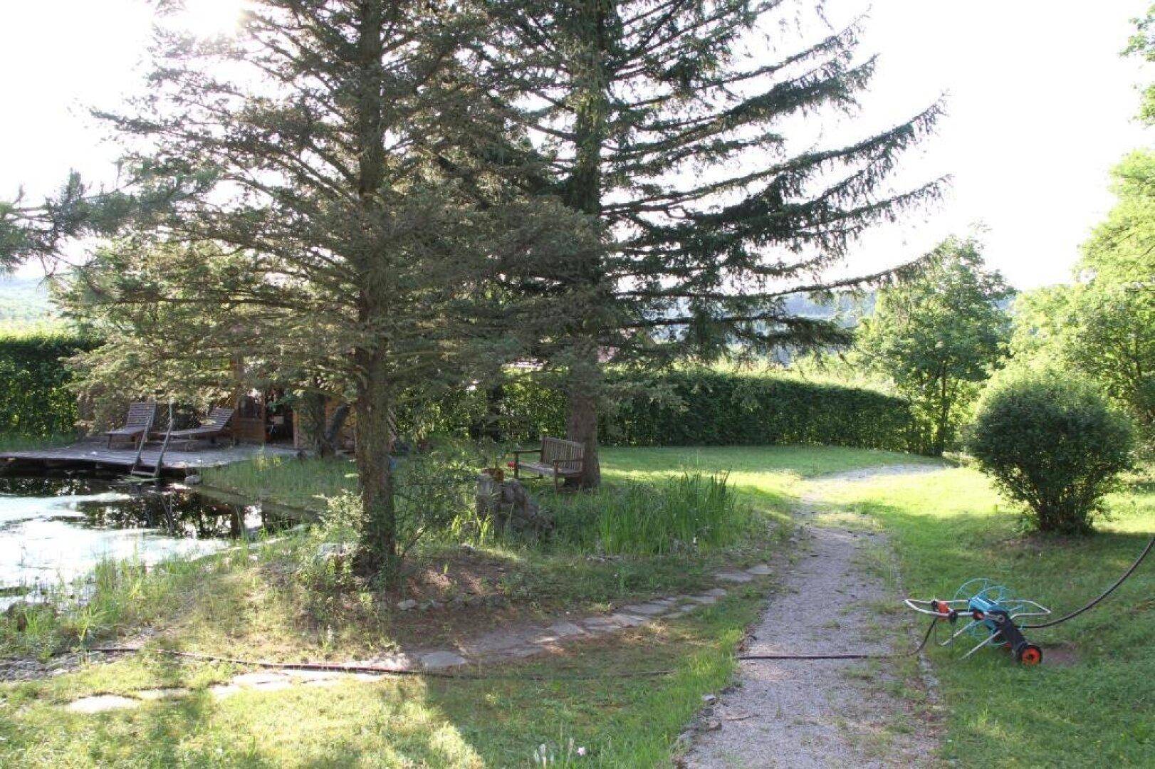 Sonniger Gartenbereich mit Teich, Holzsteg und einem geschwungenen Kiesweg.