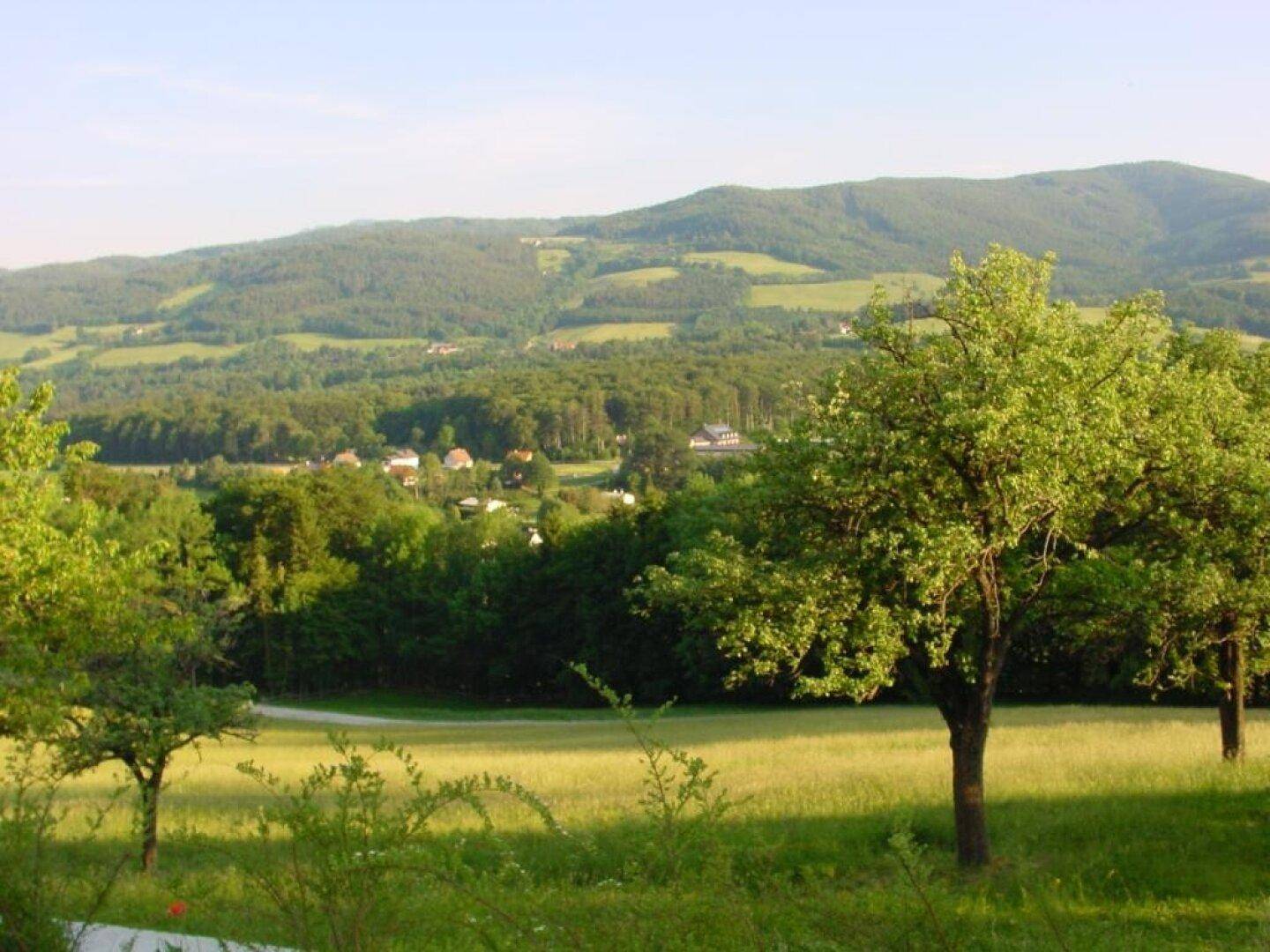 Gartengrundstück