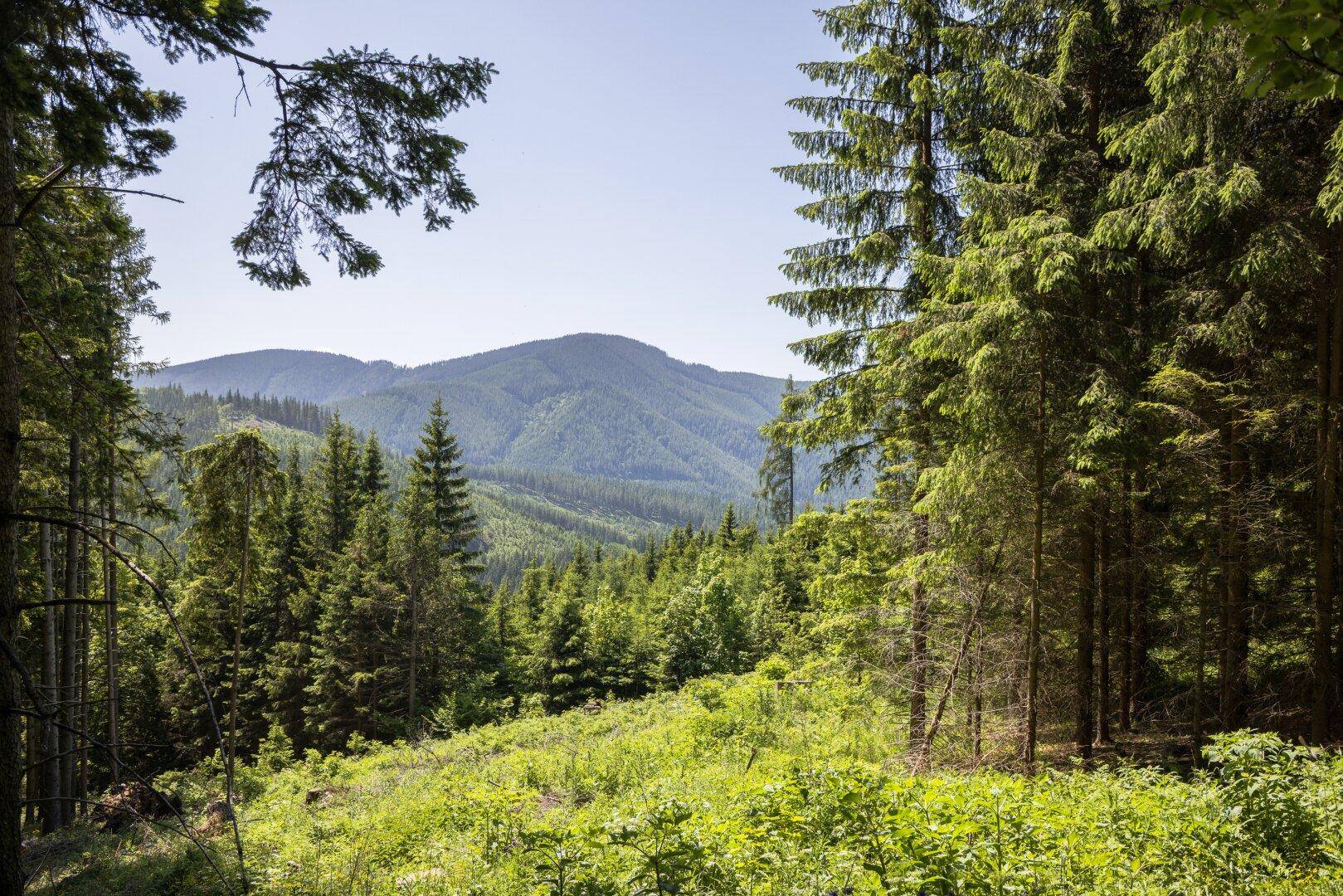 Ausblick nach Süden