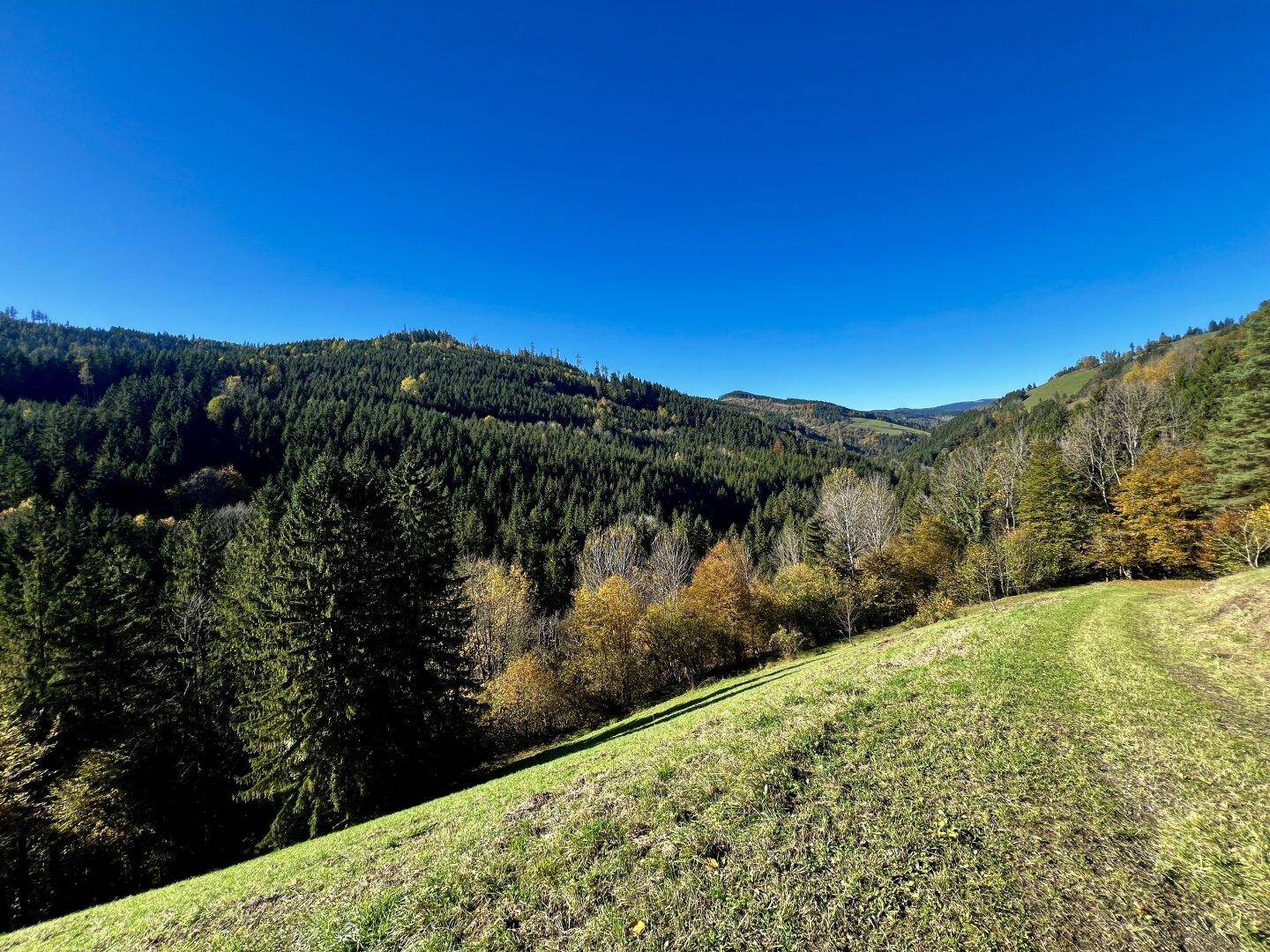 Schöner Ausblick vom Hof