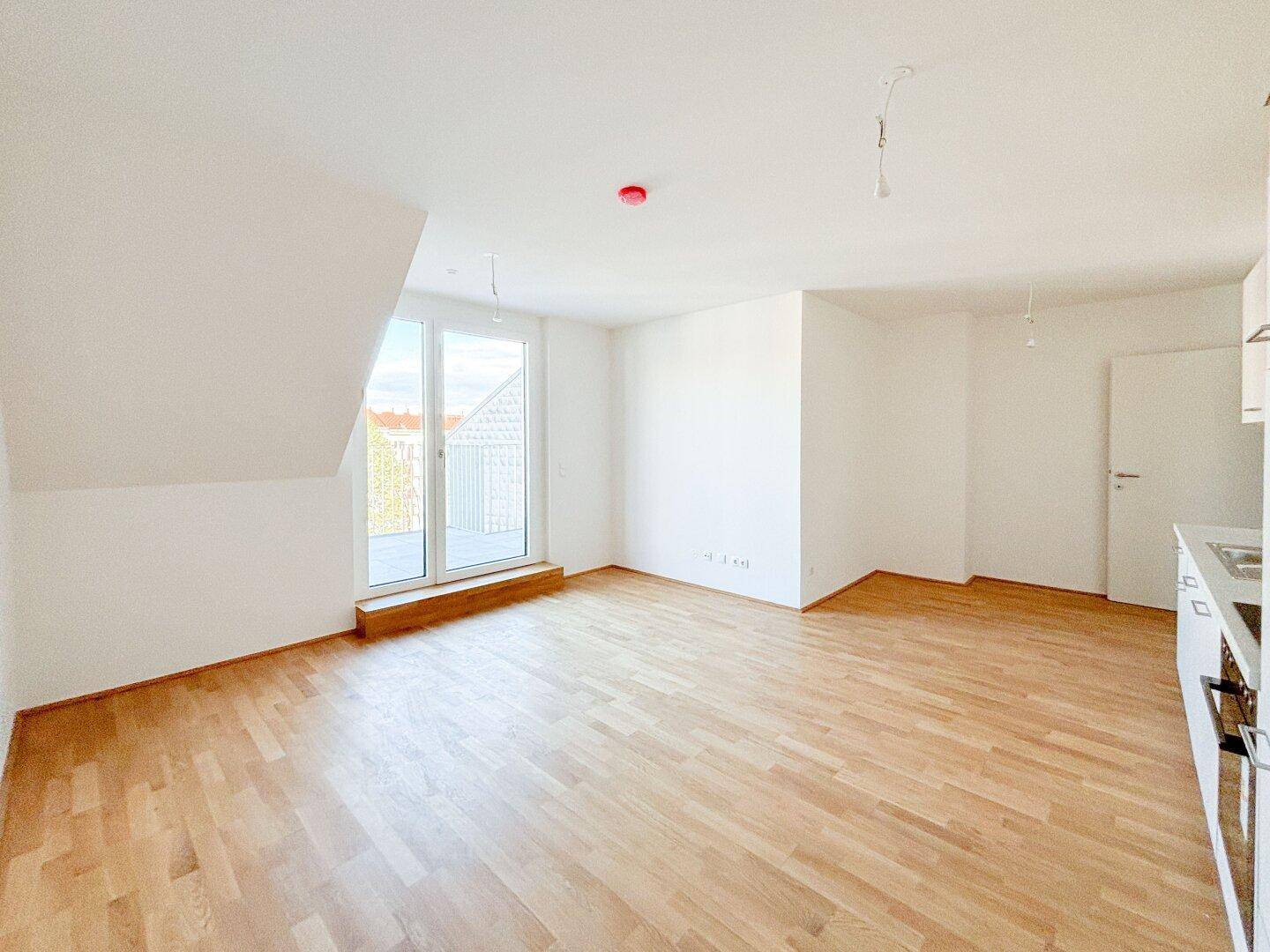 Offener Wohnbereich mit integrierter Küche, Holzboden und viel natürlichem Licht durch die Balkontür.