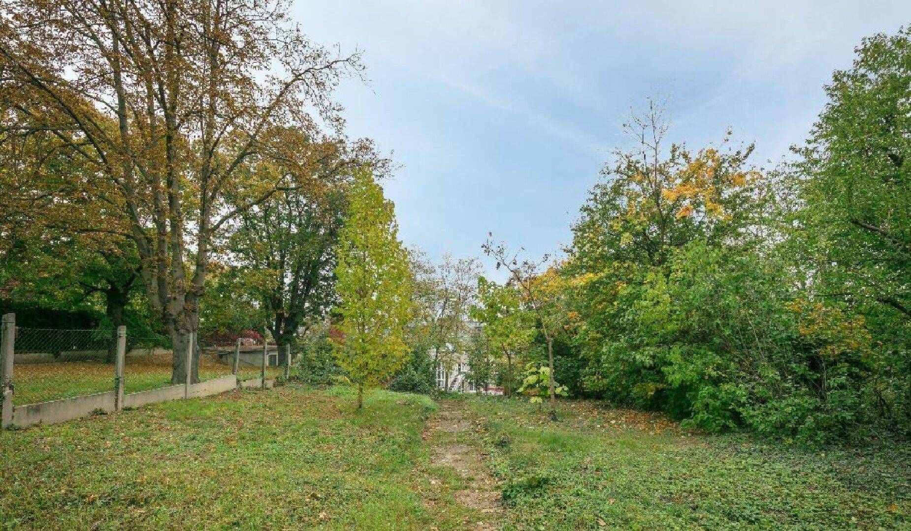 Naturbelassener Gartenbereich mit Bäumen und einem Trampelpfad im Herbst.