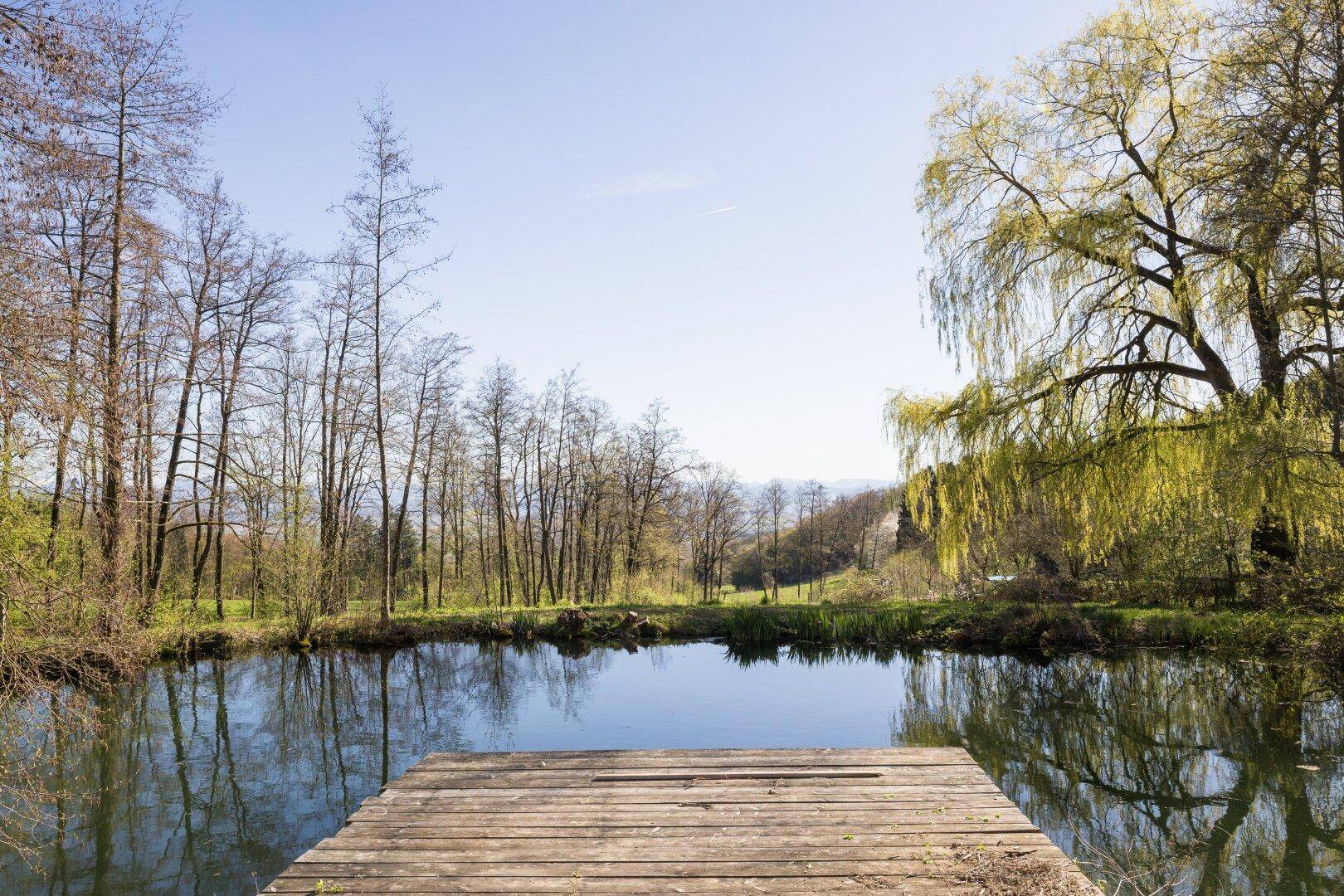 Holzsteg an einem ruhigen Teich, umgeben von Bäumen und ländlicher Idylle unter blauem Himmel.