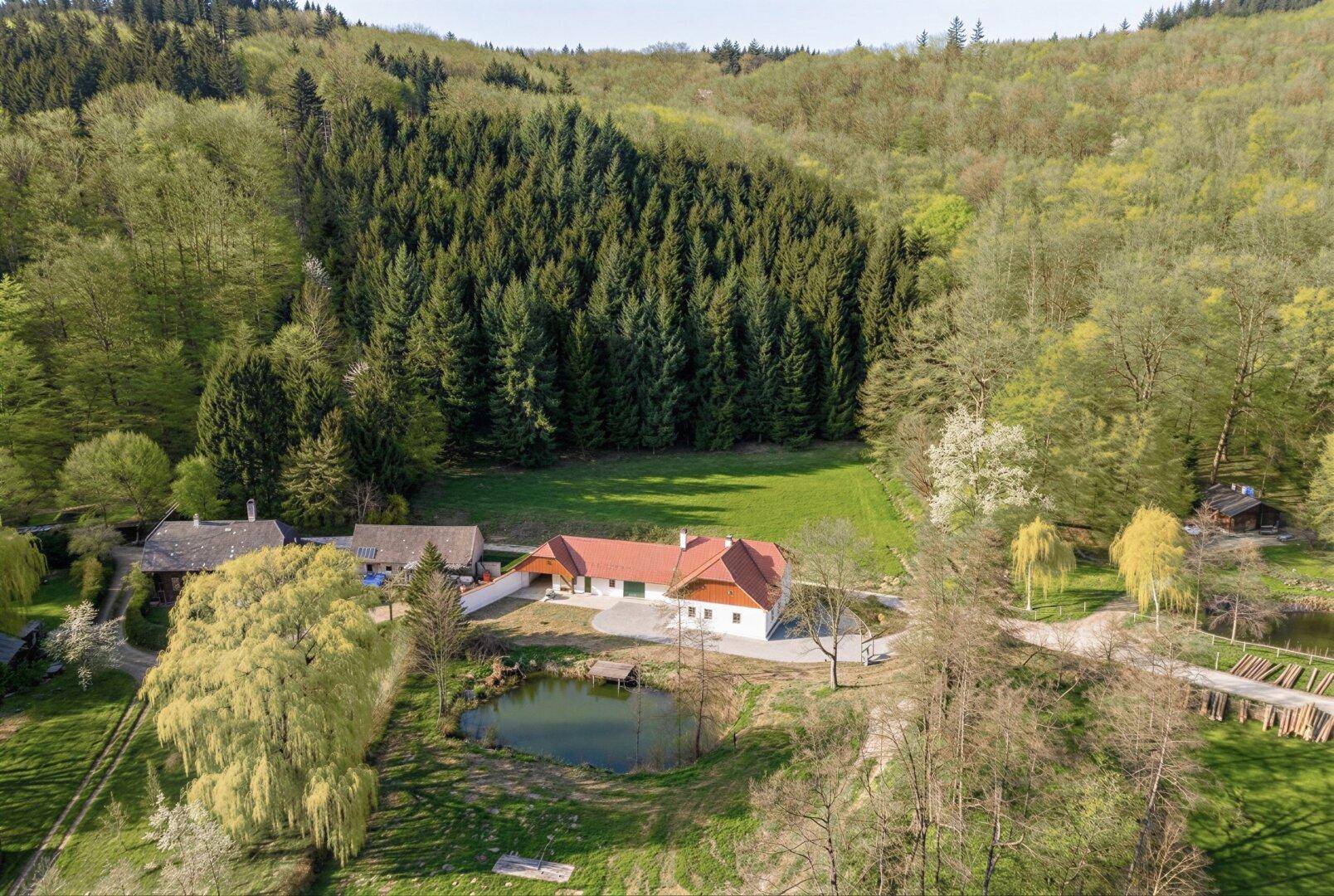 Weitläufiges Anwesen mit mehreren Gebäuden, Teich und weitläufigen Grünflächen, umgeben von Wald.