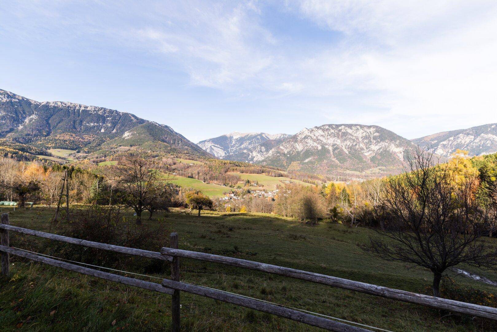 Weitläufiger Blick über grüne Wiesen und Wälder auf die majestätische Berglandschaft.