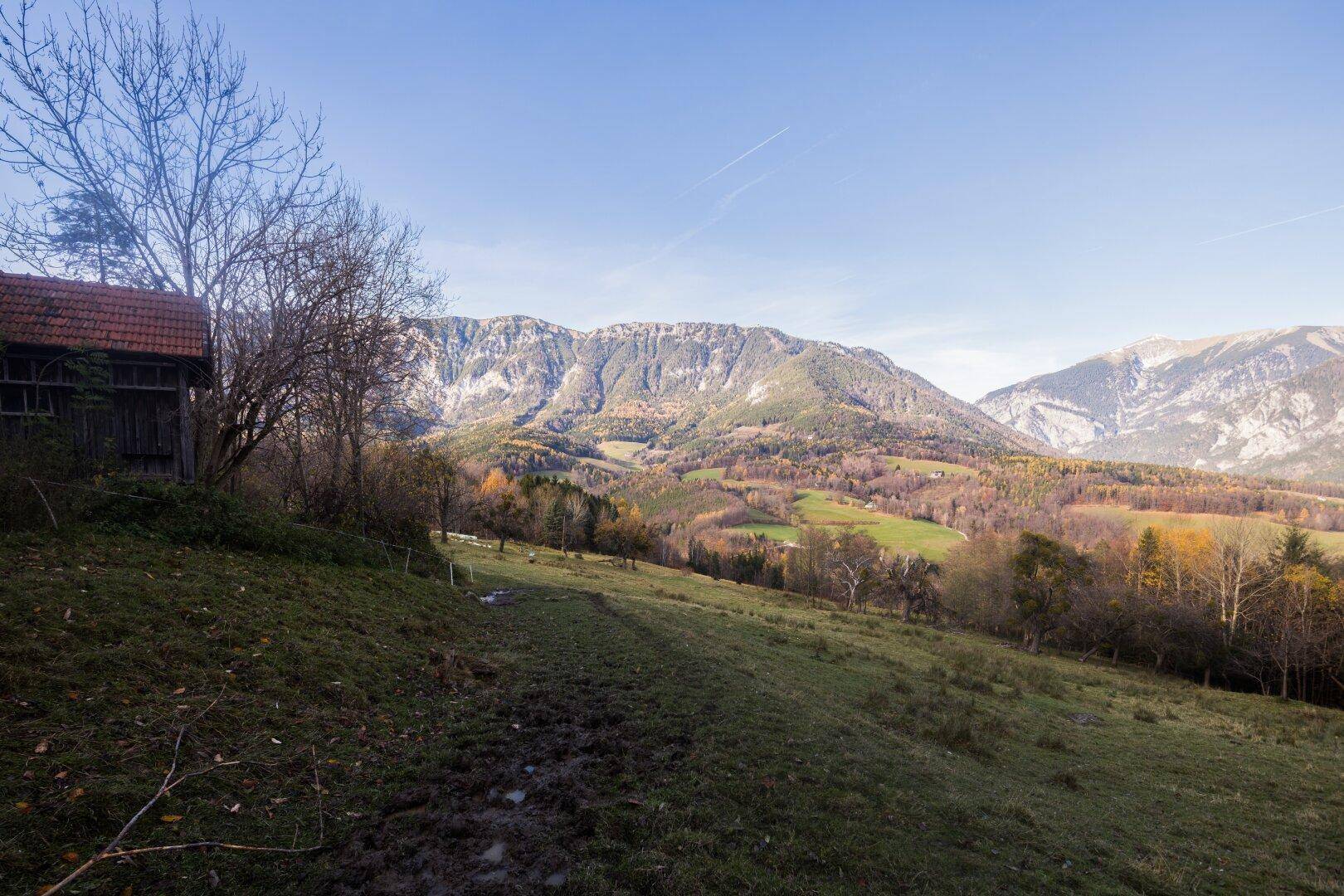 Panoramablick über hügelige Wiesen und Wälder mit einem alten Schuppen im Vordergrund.