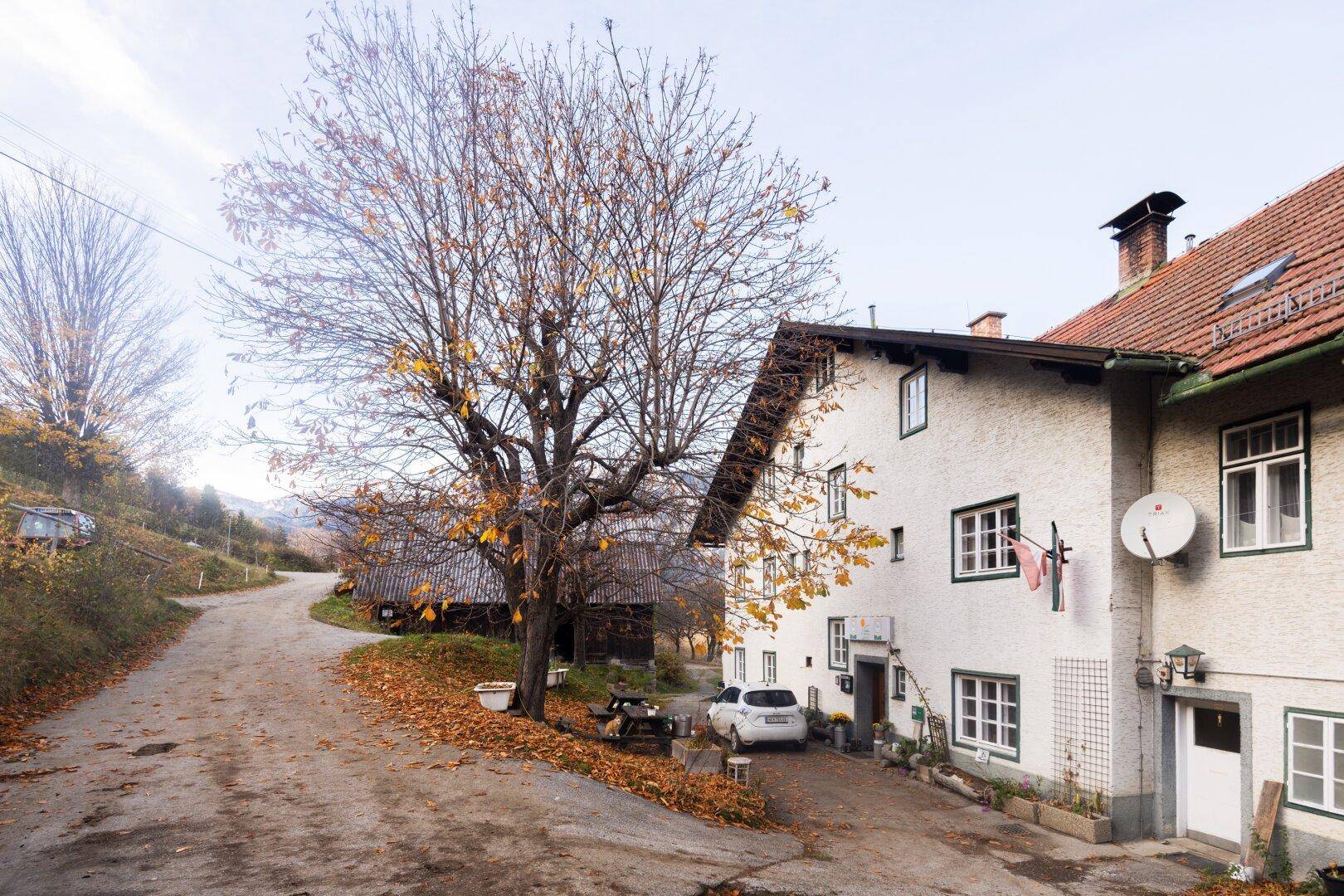 Vorderansicht des ländlichen Gebäudes mit Zufahrt und einem großen Baum im Herbstlaub.