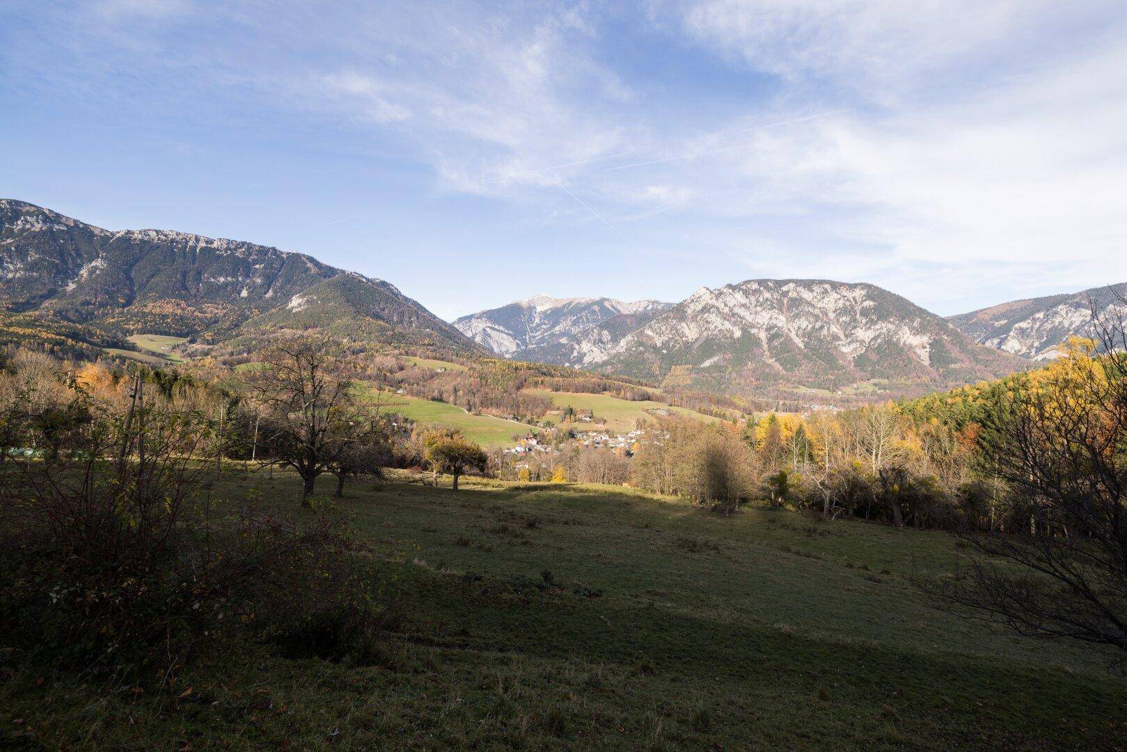Sonniger Blick über weite grüne Felder und Wälder auf die beeindruckende Bergkette.