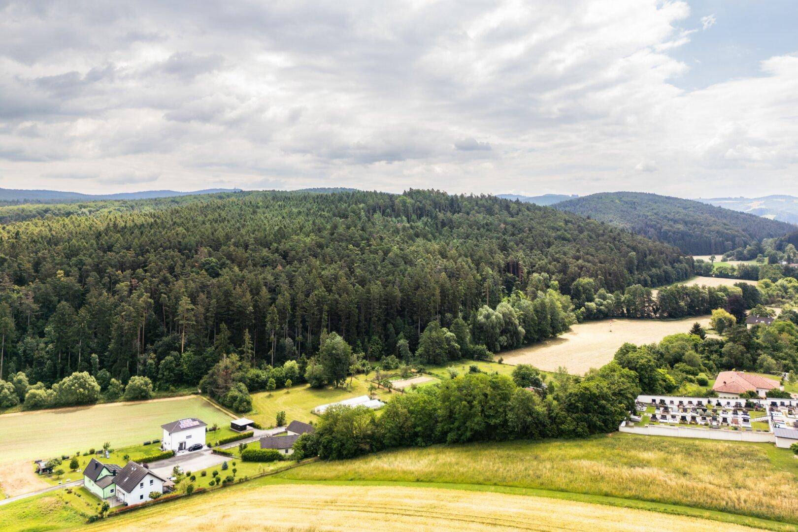 Weitläufige Luftaufnahme eines Waldes, angrenzender Felder und einer Wohnsiedlung am Horizont.