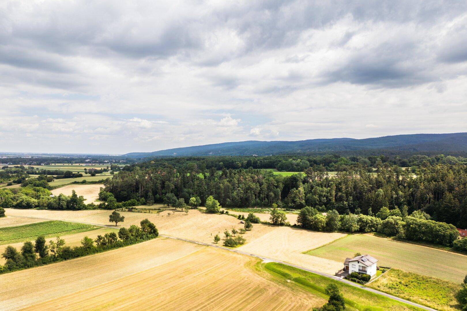 Luftaufnahme von weiten Feldern mit einem Wald im Hintergrund und einem einzelnen Haus.