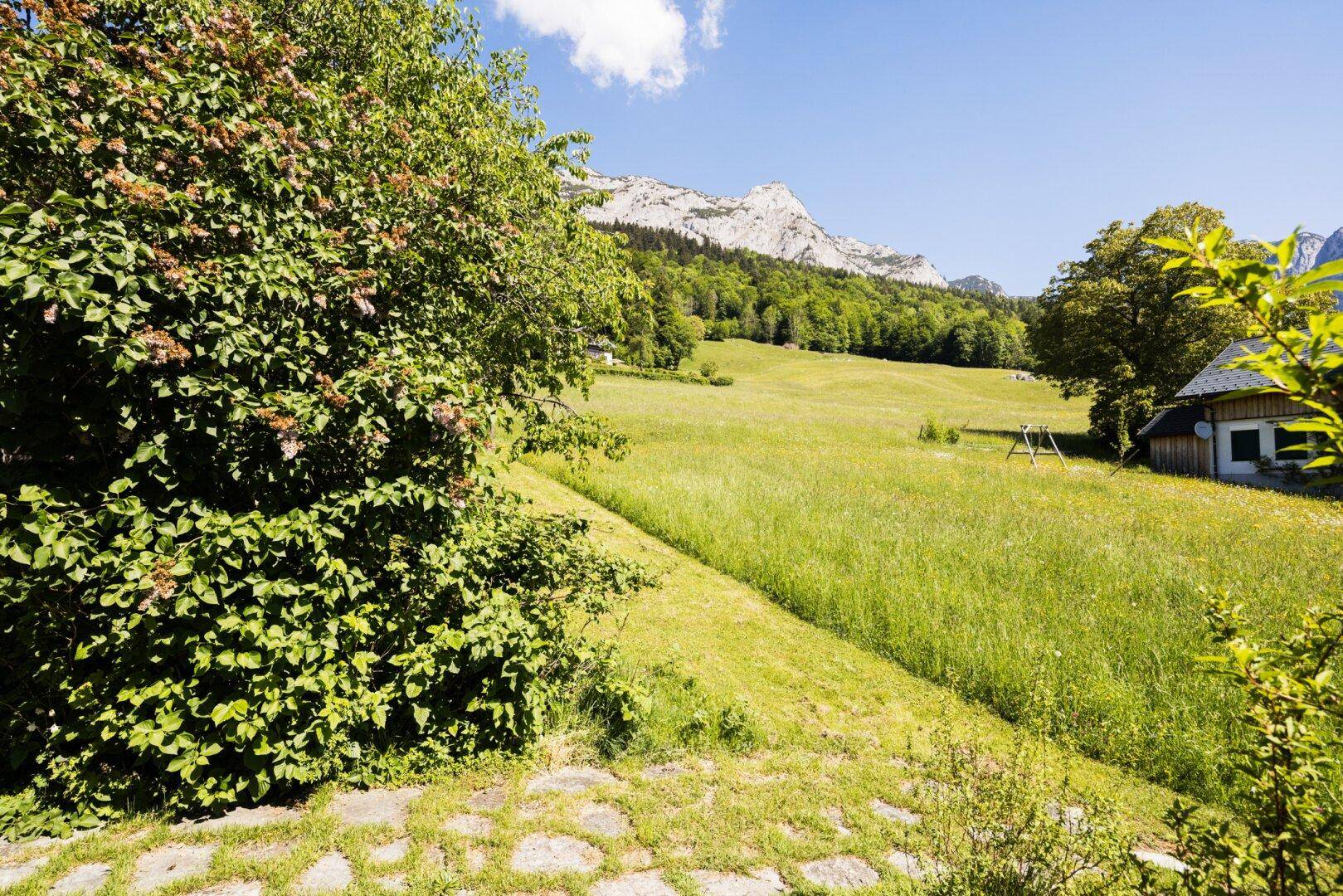 Weitläufige grüne Wiese mit Blick auf die Berge und ein kleines Haus in der Ferne.