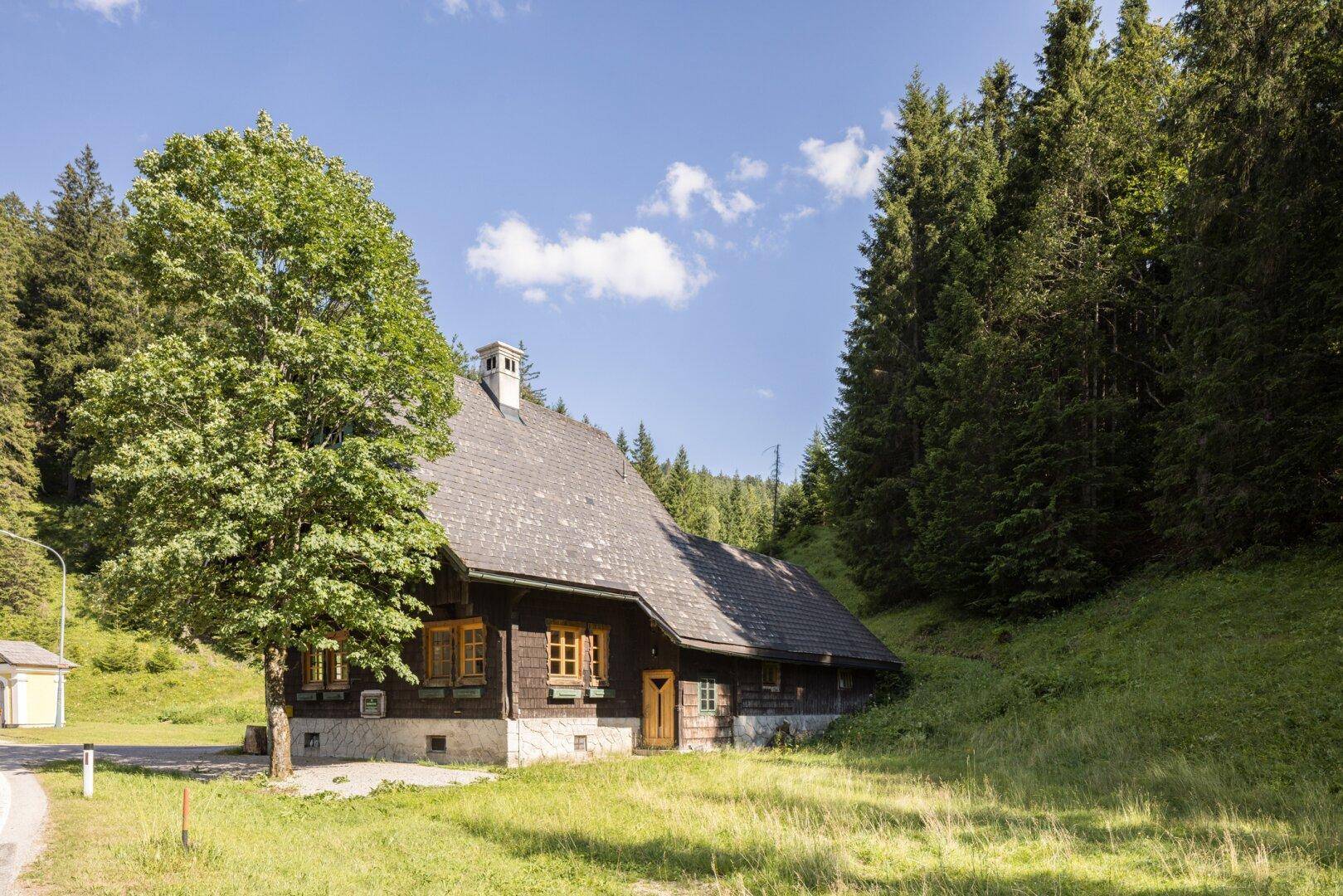 Charmantes Holzhaus eingebettet in eine malerische Berglandschaft mit üppiger Vegetation.