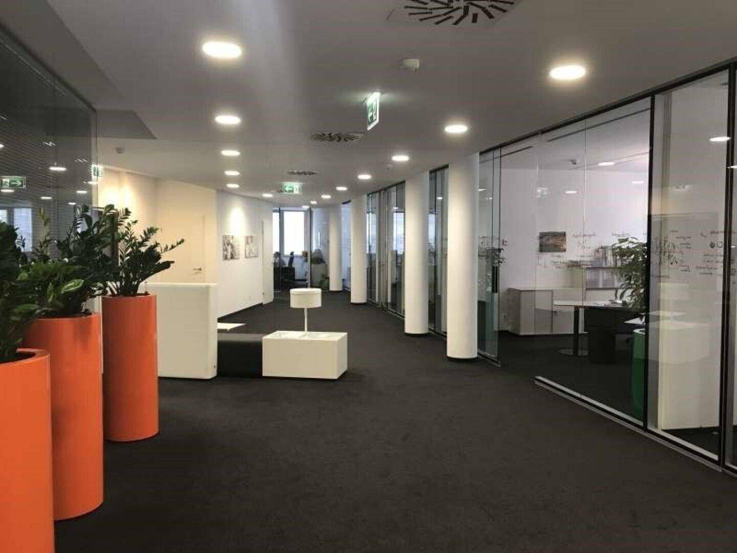 Moderner Bürogang mit Teppichboden, Glaswänden und Pflanzen als Dekorationselemente.