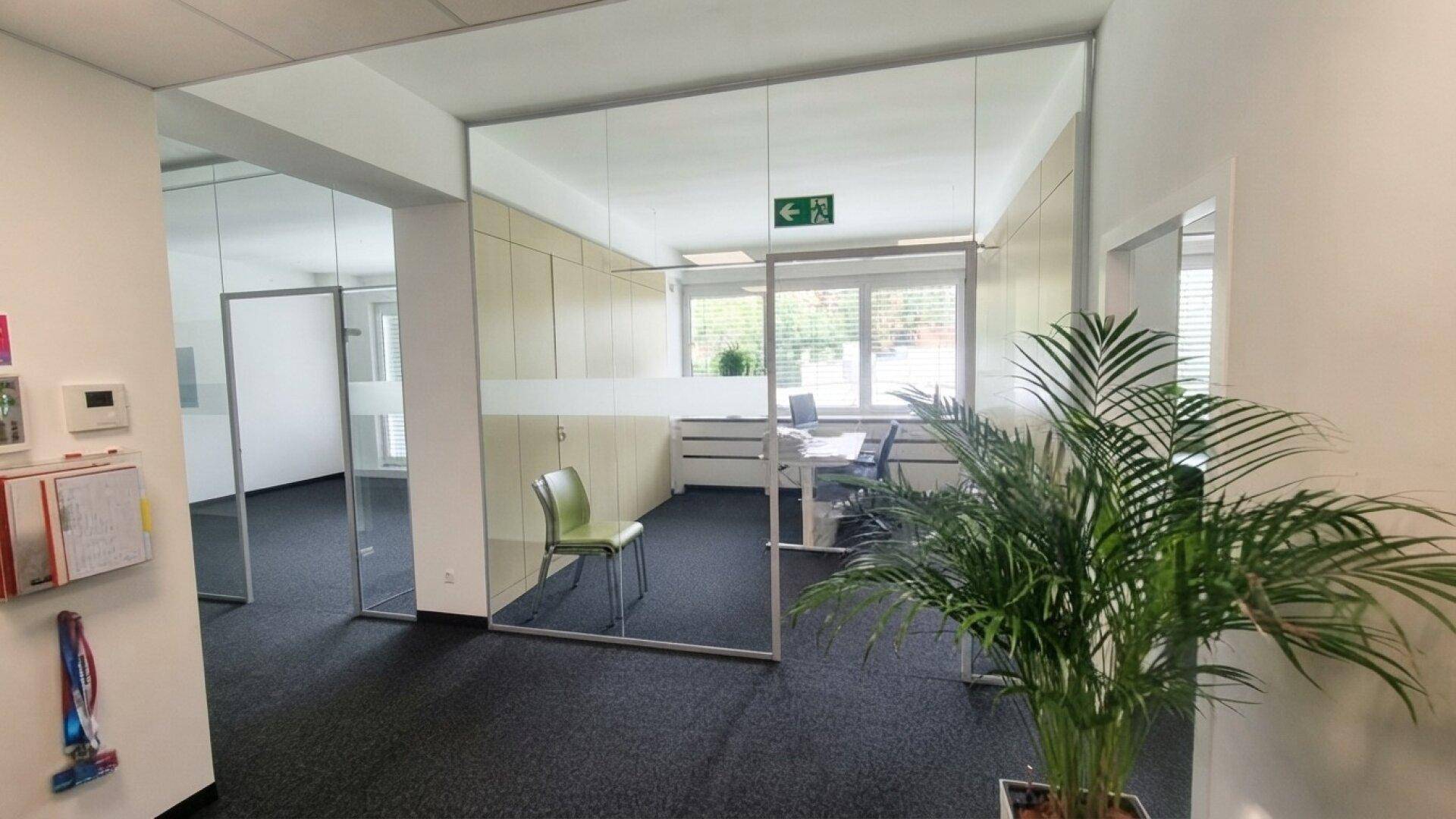 Bürobereich mit transparenten Glasbüros, dunklem Teppichboden und einer dekorativen Pflanze, die den Raum belebt.