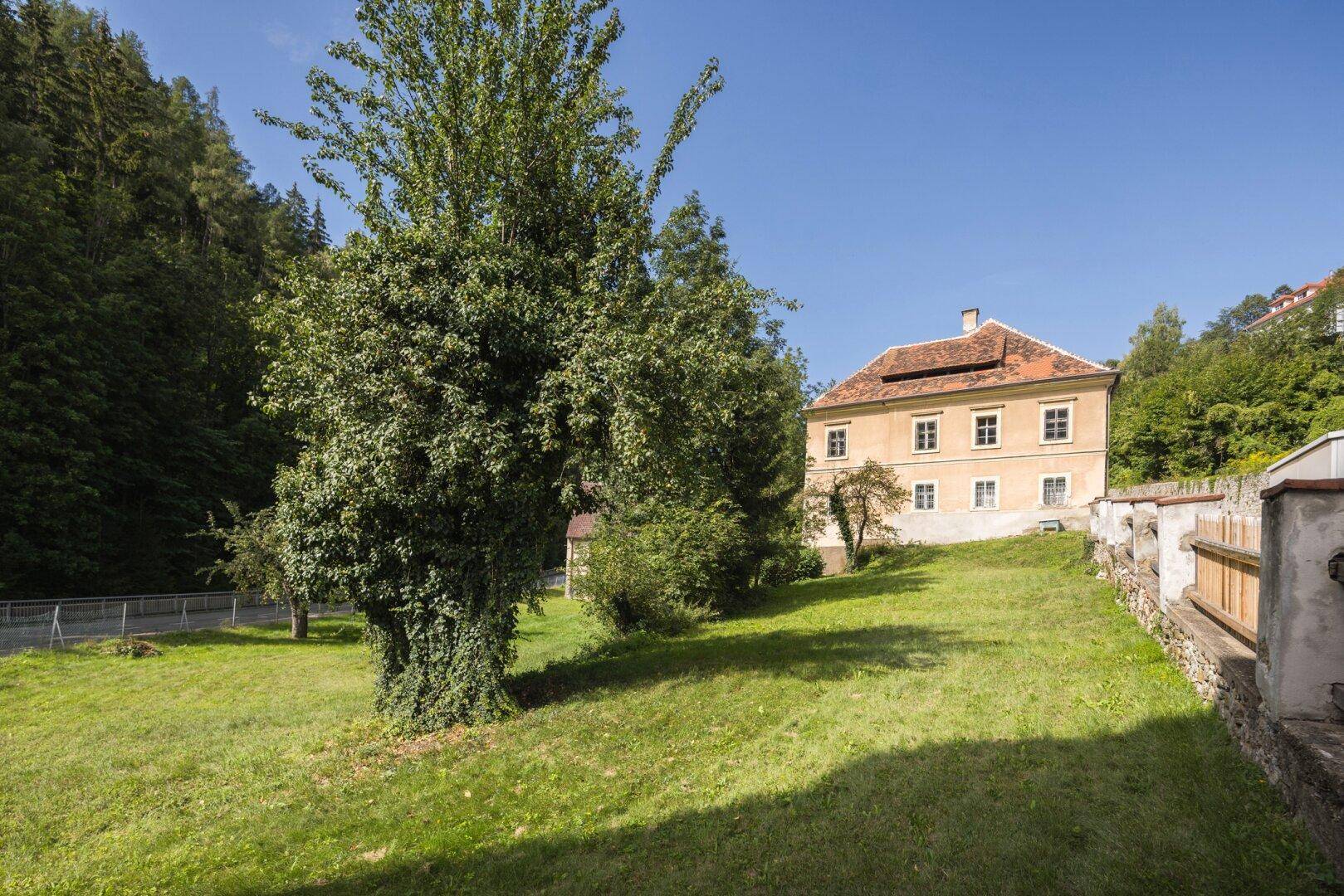 Großer, sonniger Gartenbereich mit Rasenfläche und altem Baumbestand vor dem historischen Haus.
