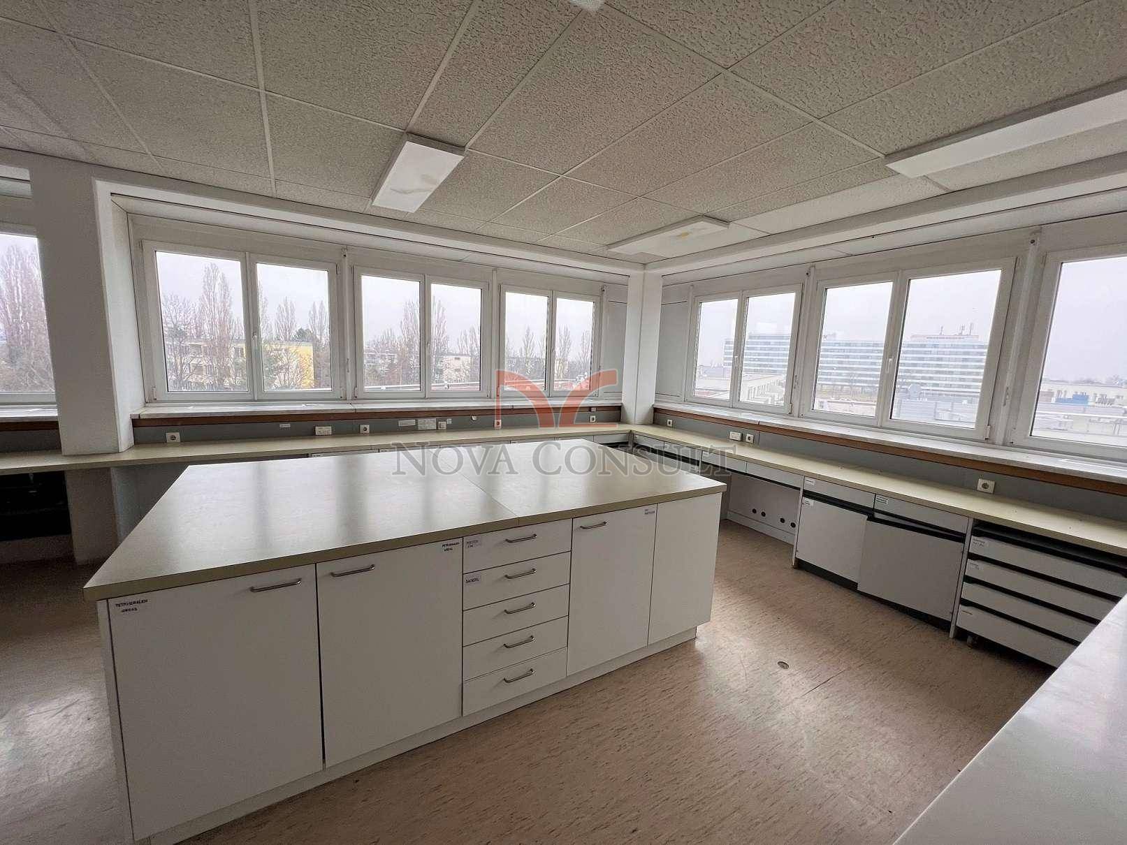 Heller Laborraum mit großer Arbeitsinsel in der Mitte und vielen Fenstern entlang der Wand für Tageslicht.