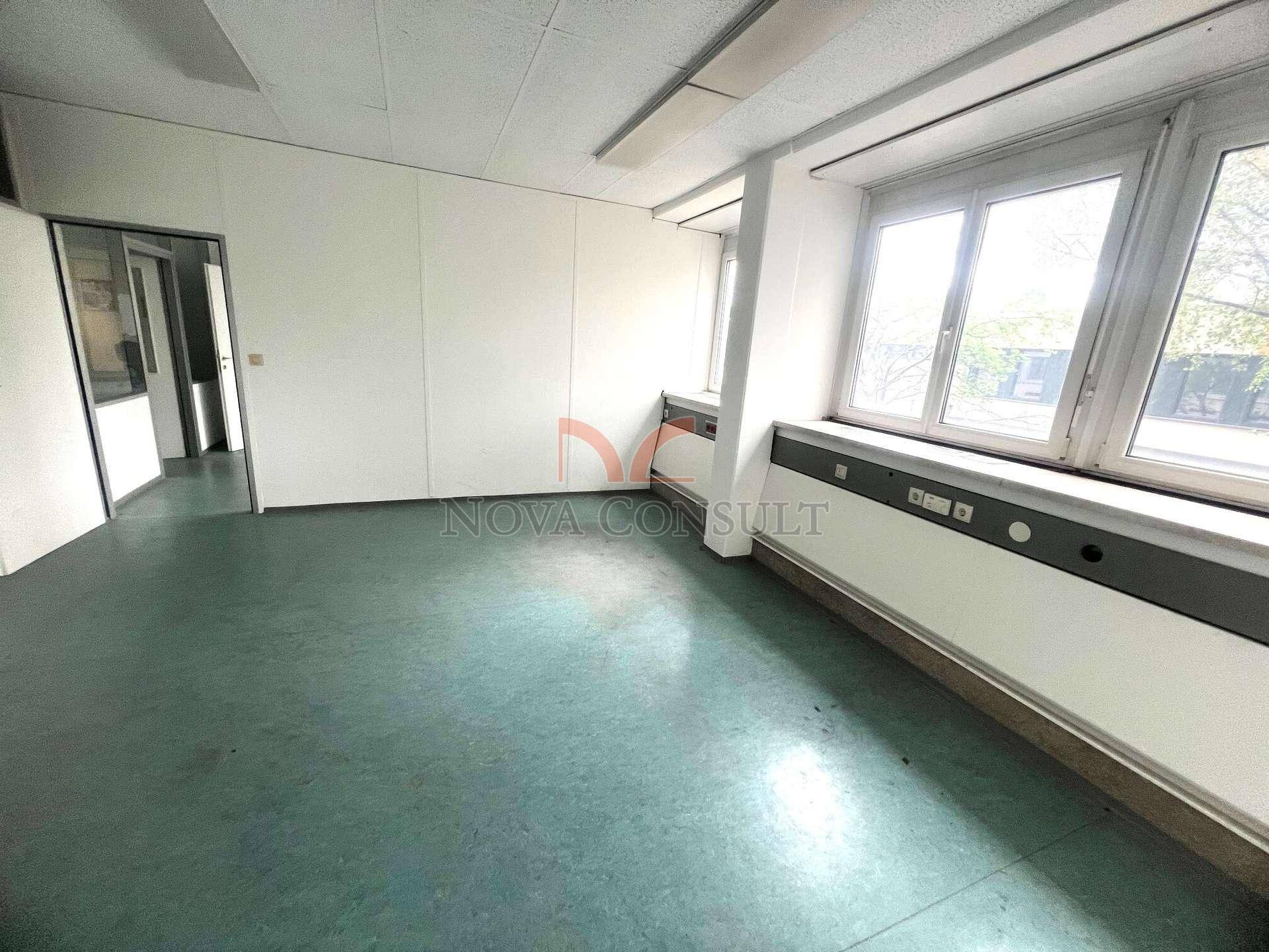 Heller Büroraum mit großen Fenstern, weiß gestrichenen Wänden und einem grünen Bodenbelag.