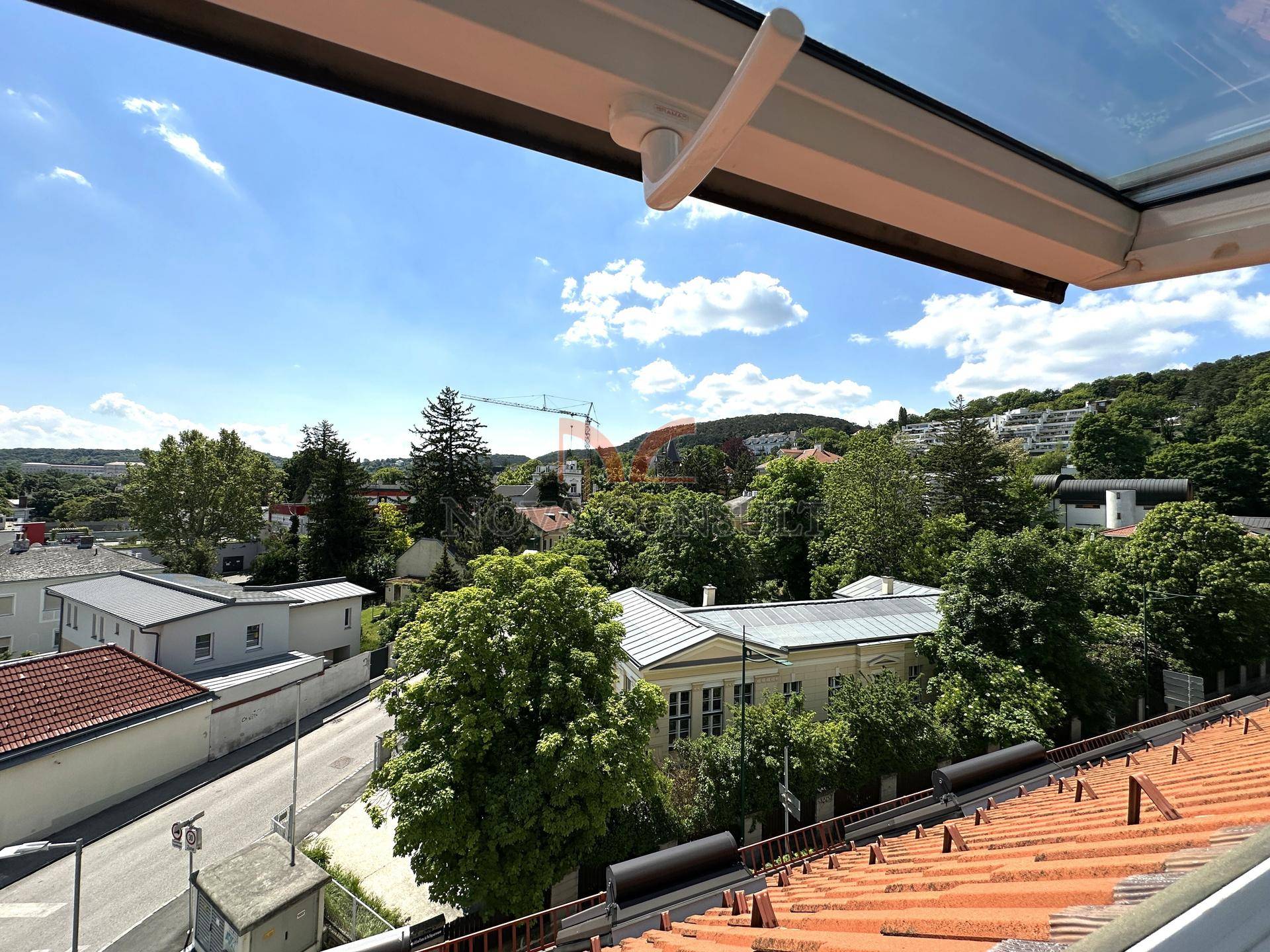 Ausblick
