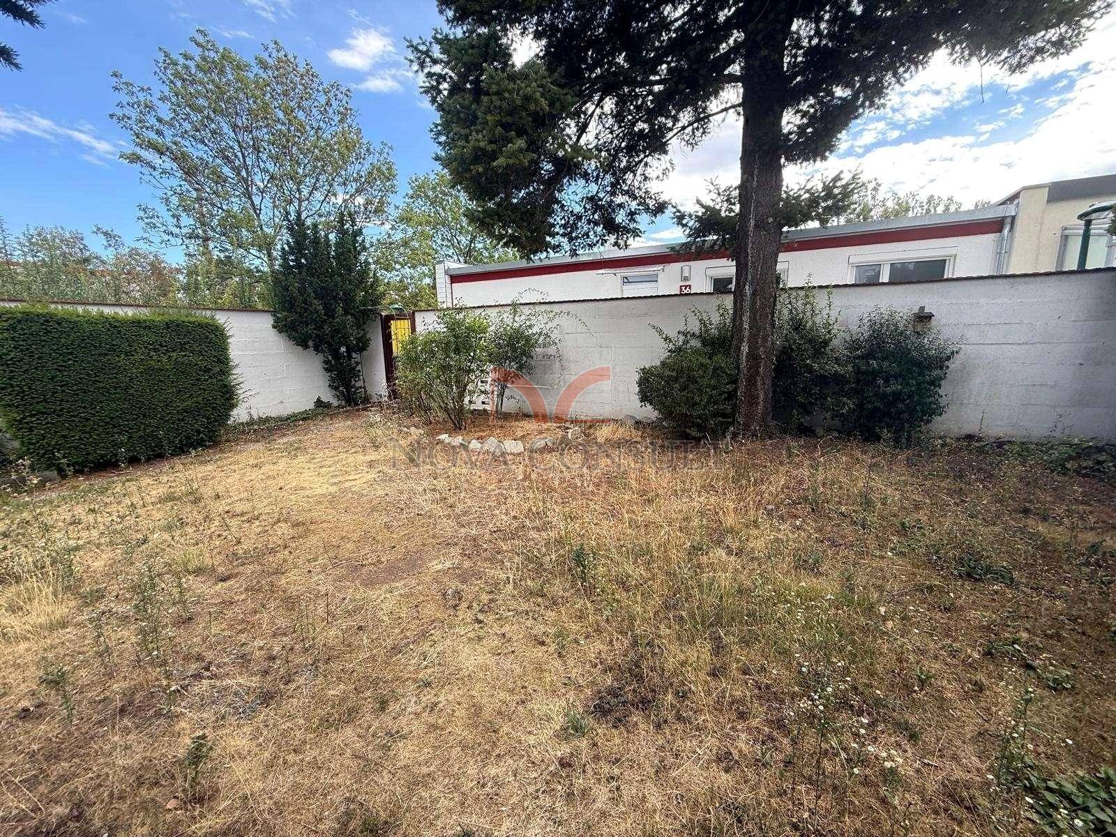Vernachlässigter Gartenbereich mit trockener Erde und einer weißen Mauer im Hintergrund.