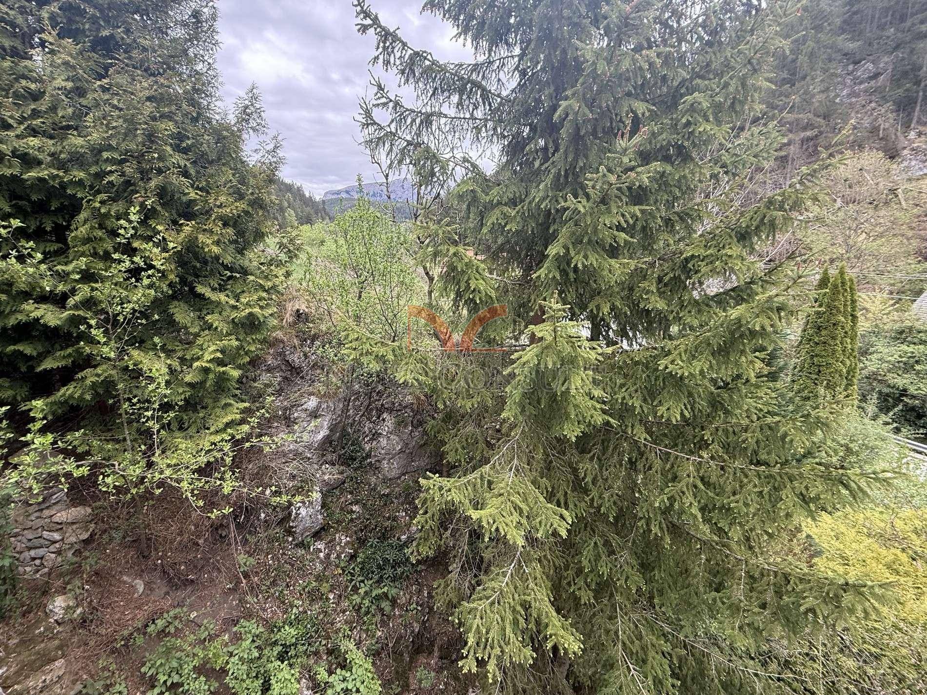 Ausblick