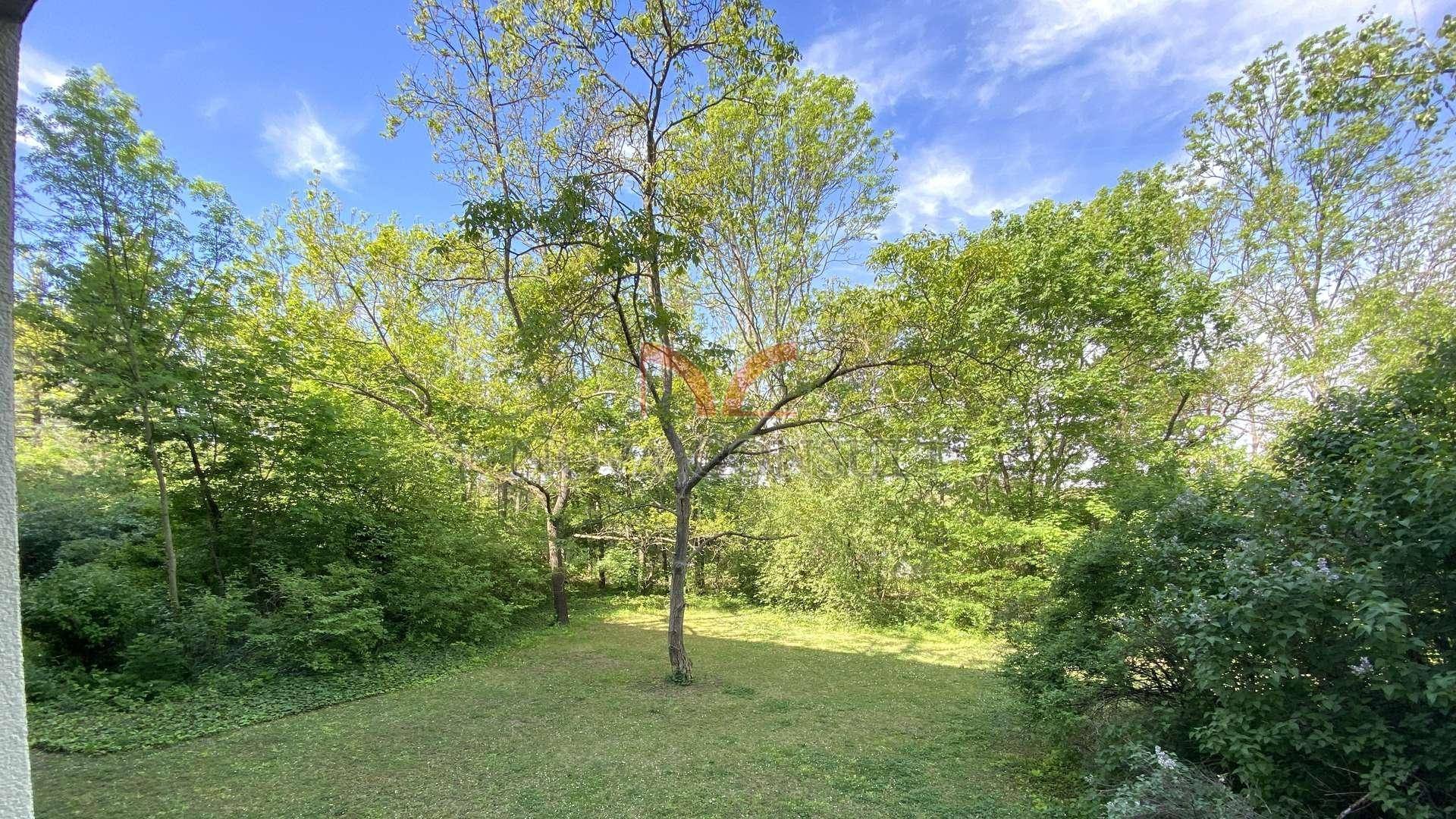 Großer Gartenbereich mit altem Baumbestand und viel Grünfläche unter blauem Himmel.