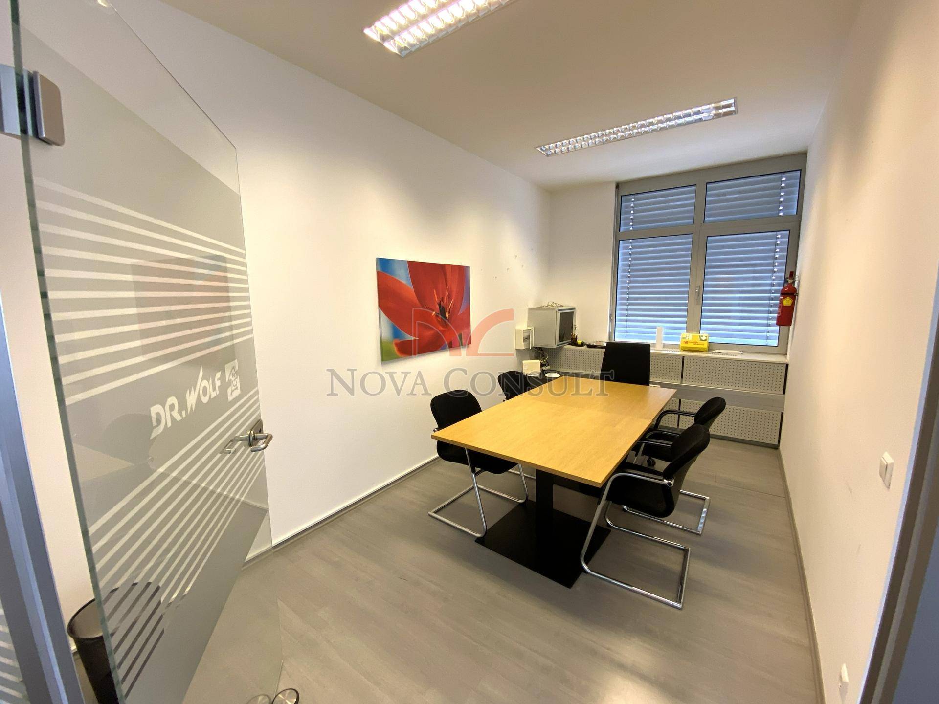 Einzelbüro mit Schreibtisch, Stühlen und einem Fenster, das viel Tageslicht hereinlässt.