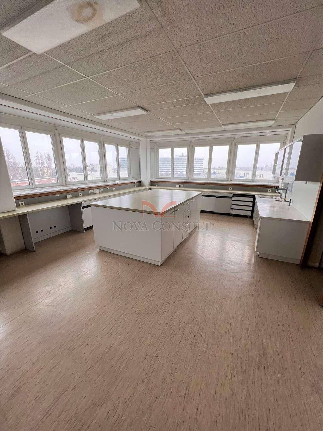 Geräumiger Laborraum mit zentraler Arbeitsfläche und umlaufenden Fenstern, ideal für Forschungsarbeiten.