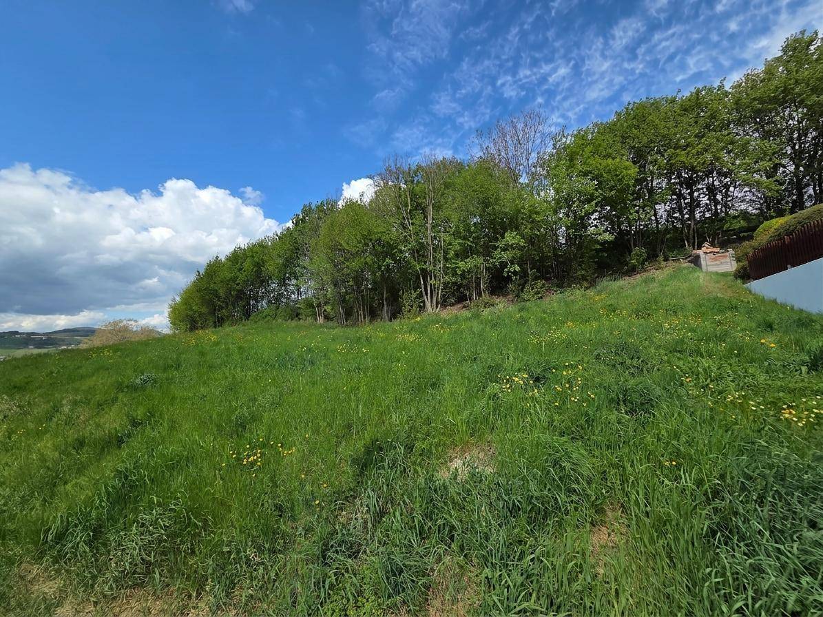 Weitläufige grüne Wiese mit Bäumen am oberen Rand unter einem teilweise bewölkten Himmel.