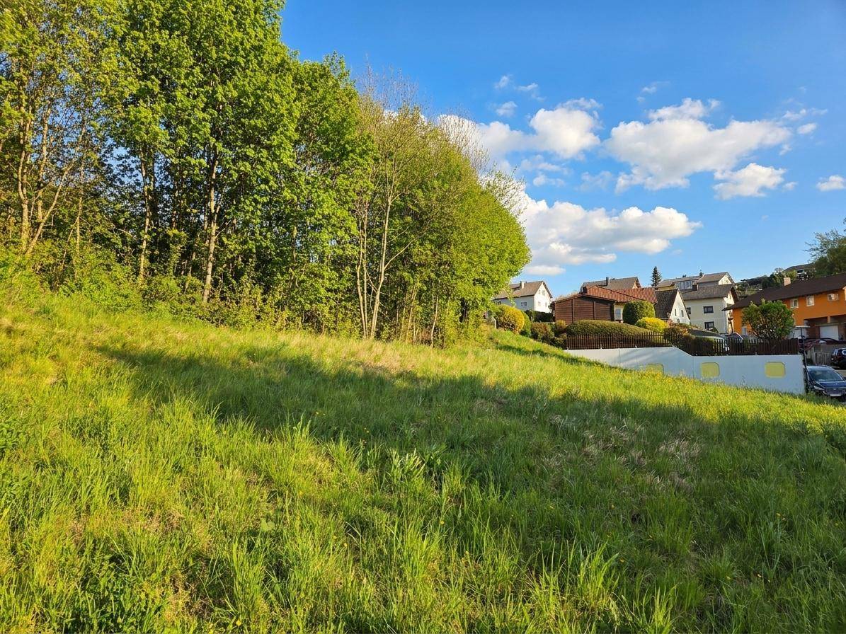 Grüne Wiese mit Bäumen und Wohnhäusern im Hintergrund unter einem blauen Himmel.