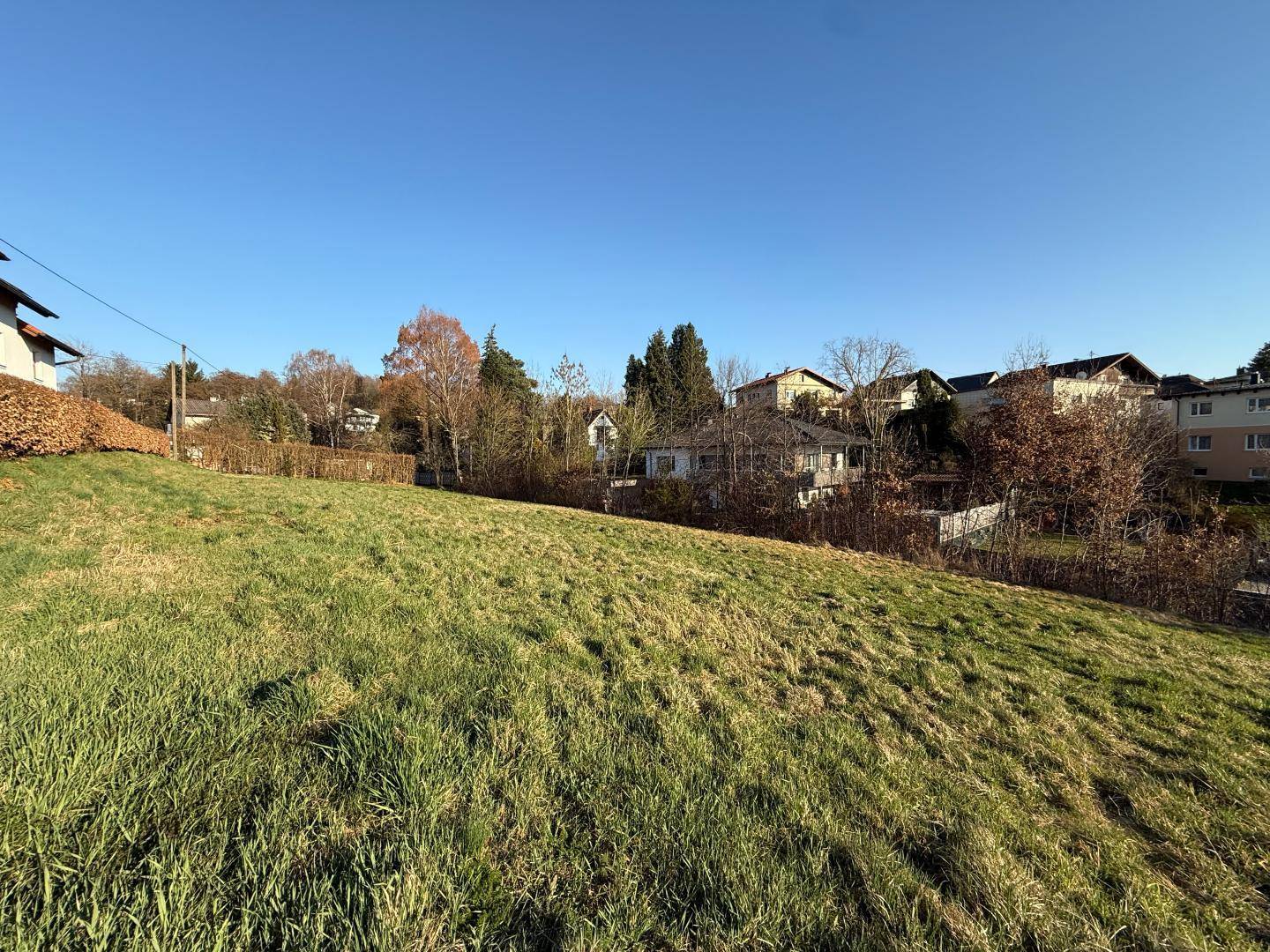 Grüne Hügellandschaft mit vereinzelten Bäumen und Wohnhäusern im Hintergrund unter klarem Himmel.