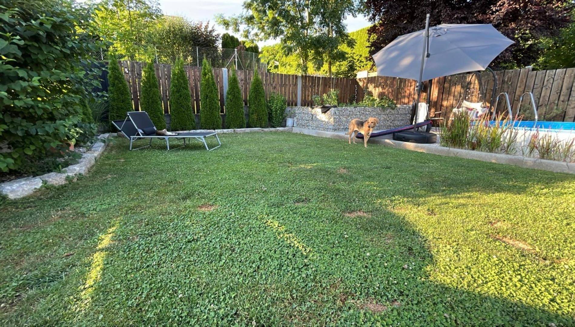 Großer grüner Garten mit Rasenfläche, Liegestühlen, Sonnenschirm und Aufstellpool.