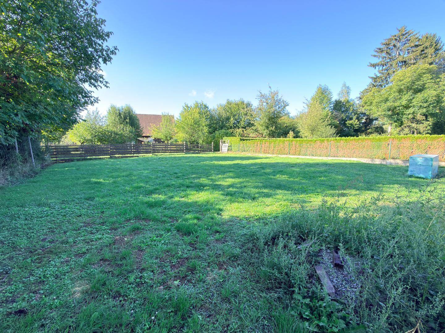 Großer, gepflegter Rasenbereich im Garten mit viel Grün und Bäumen im Hintergrund.