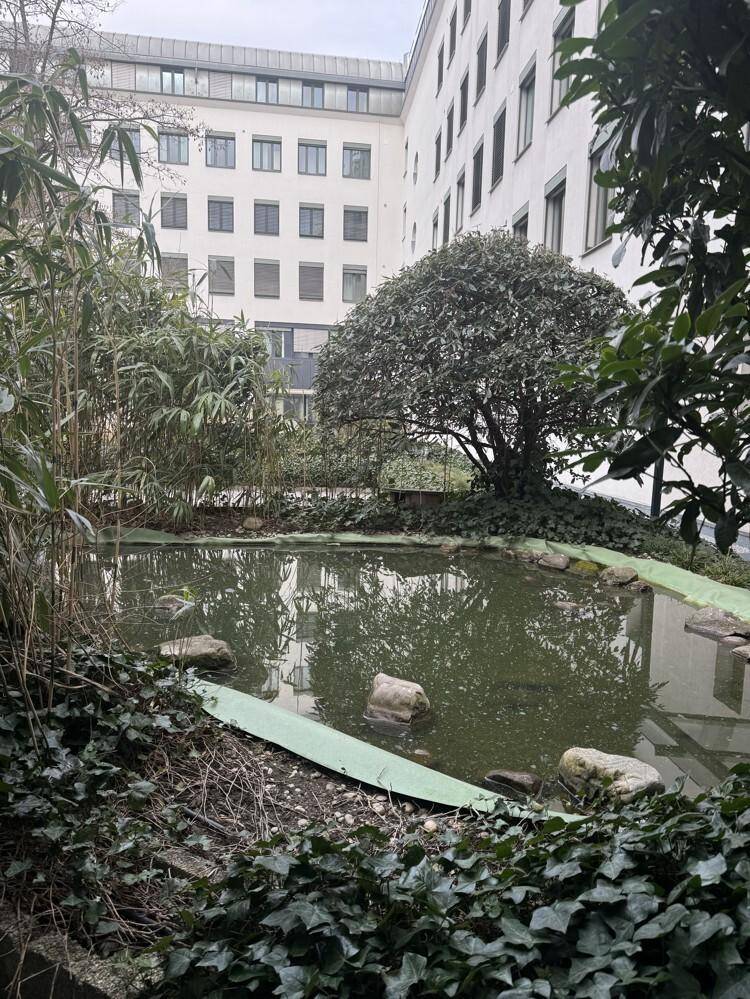 Ruhiger Innenhof mit einem Teich, umgeben von üppiger Vegetation und Blick auf das Gebäude.