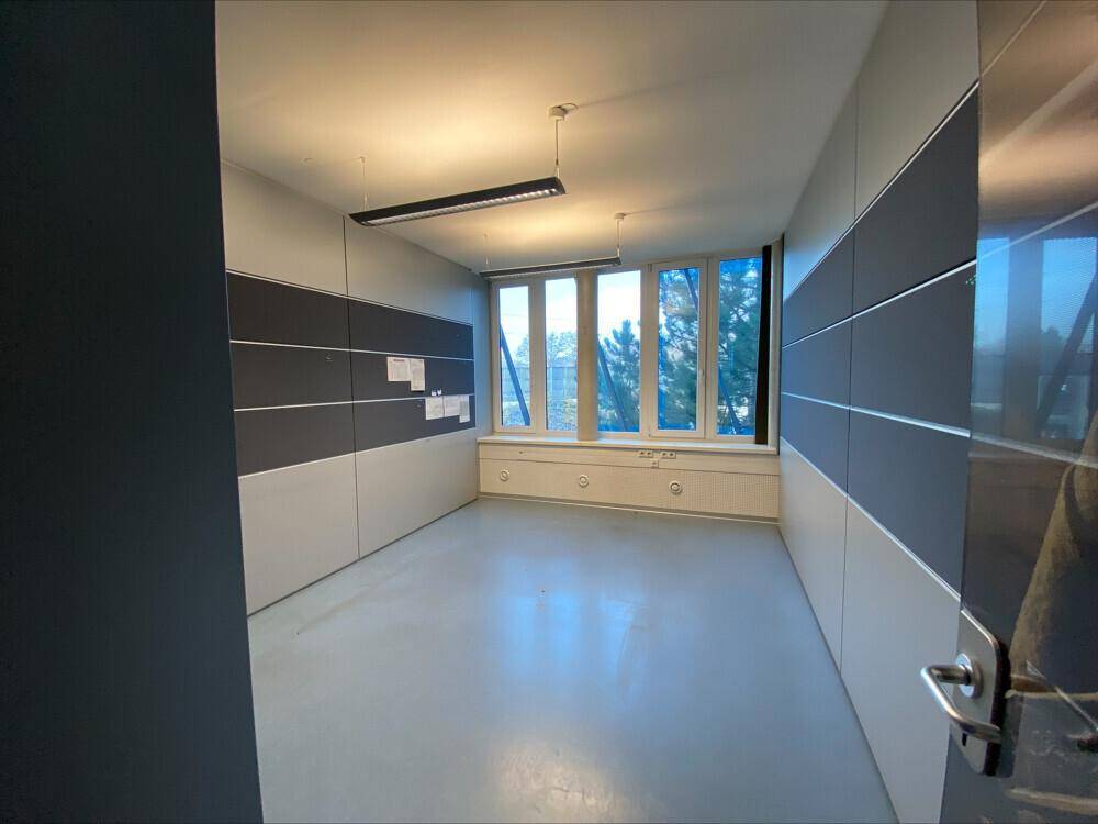 Leerer Büroraum mit modernen Wandpaneelen, großen Fenstern und viel Tageslicht.