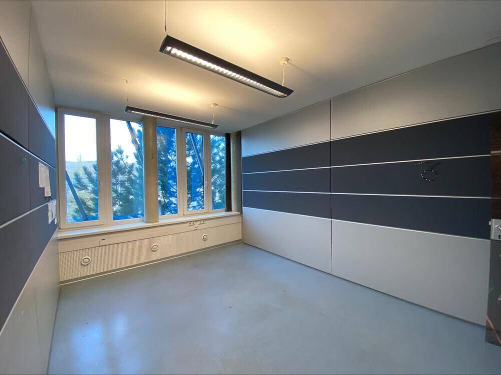 Leerer Büroraum mit modernen Wandpaneelen, großen Fenstern und hellem Boden.