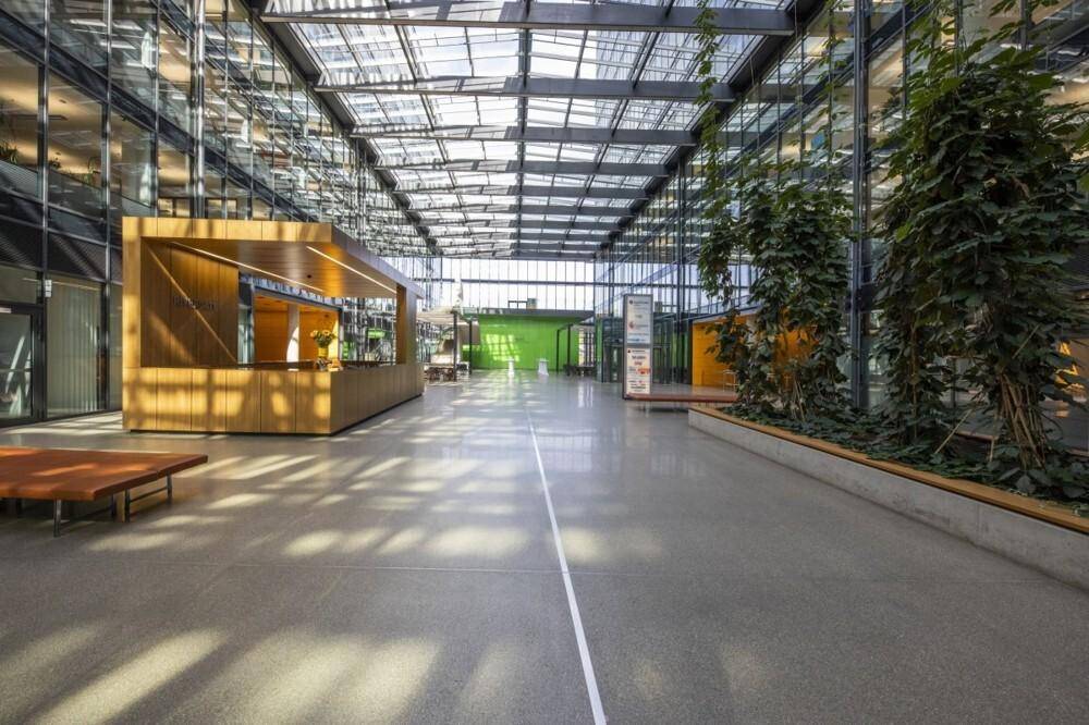Helles, weitläufiges Atrium mit Glasdach, Betonboden, einer Holzrezeption und grünen Pflanzen.