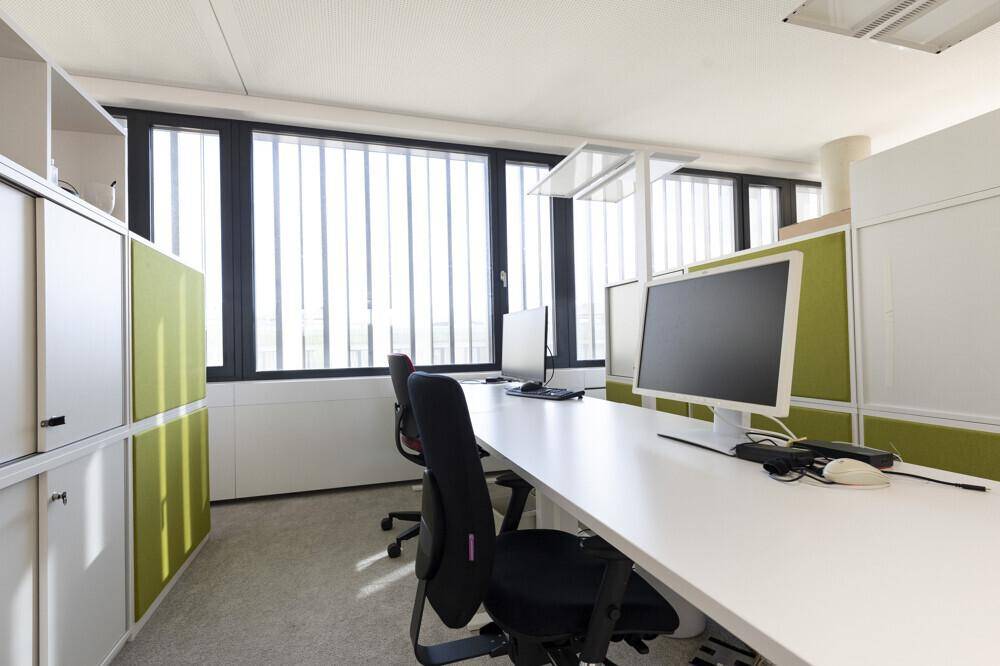 Heller Arbeitsplatz in einem modernen Büro mit großen Fenstern und grünen Akzenten an den Schränken.