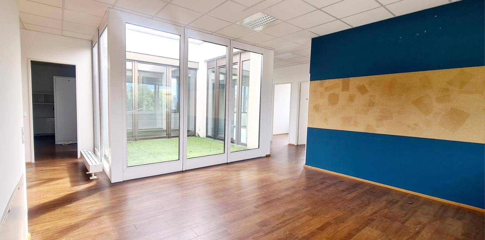 Geräumiges Büro mit Holzboden, farbiger Akzentwand und Glasfront zu einem begrünten Innenhof.