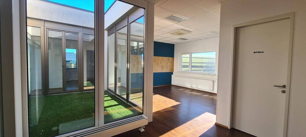 Bürofläche mit Blick auf den grünen Innenhof durch eine Glaswand und einem weiteren Fensterbereich.