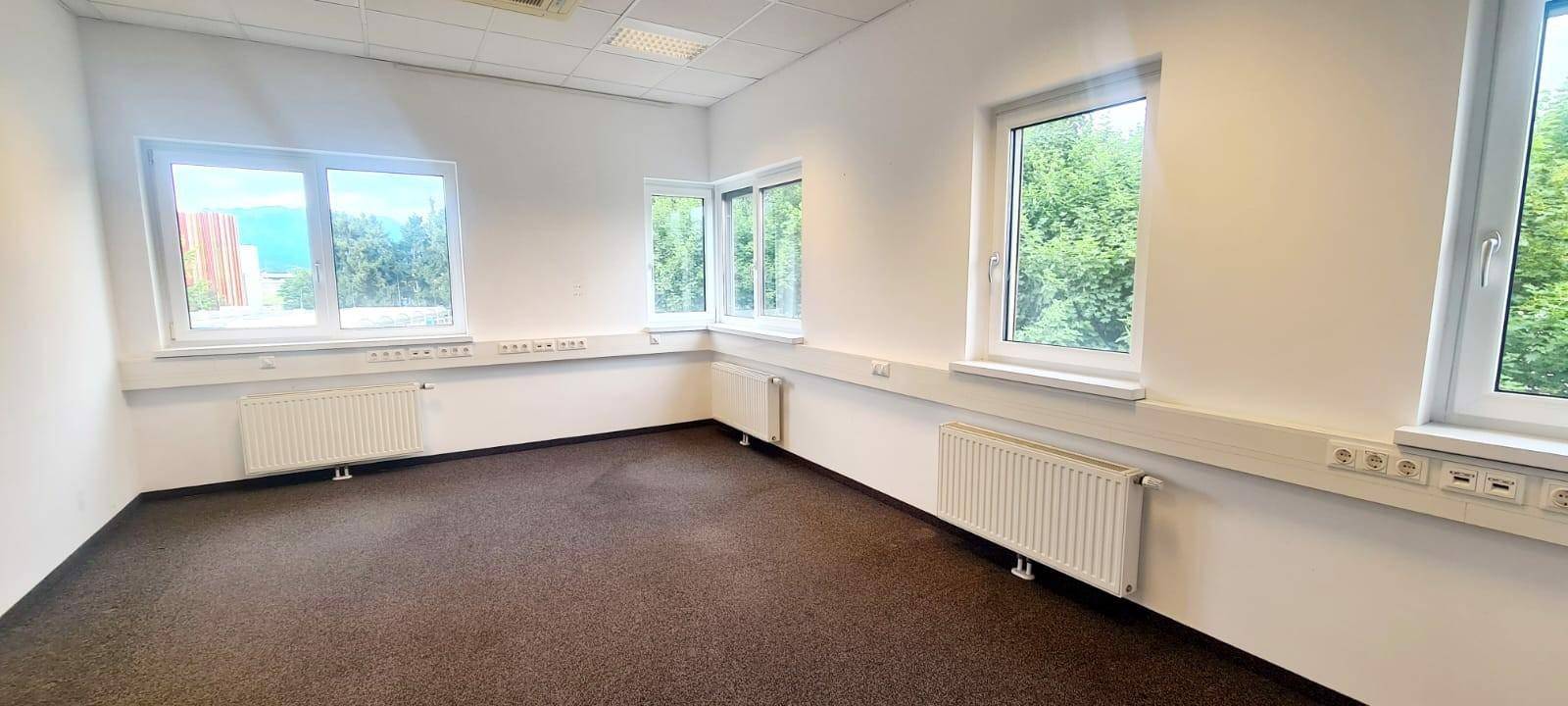 Helles, leeres Büro mit braunem Teppichboden, weißen Wänden und mehreren Fenstern mit Blick ins Grüne.