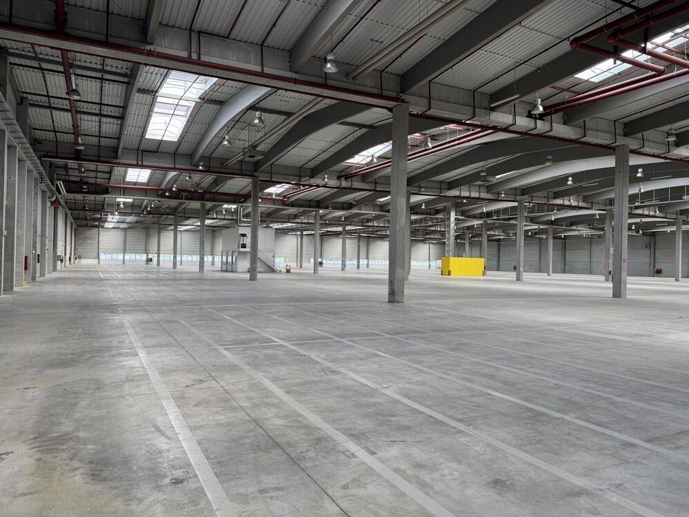 Große, leere Lagerhalle mit hohen Decken, Betonboden und viel Tageslicht durch Oberlichter.