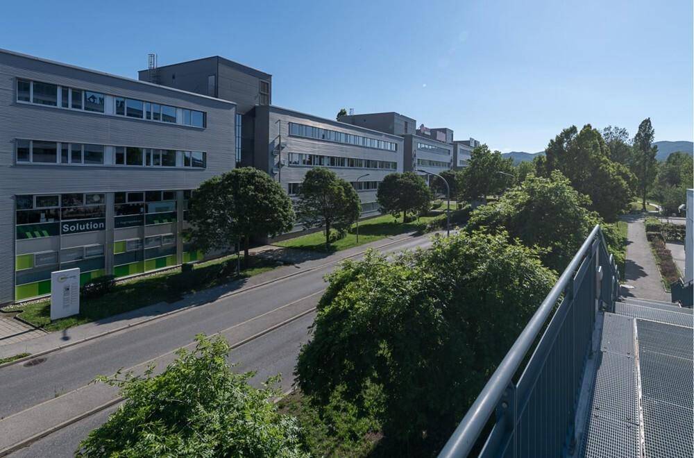 Moderne Bürogebäude entlang einer Straße mit gepflegten Grünflächen und Bäumen.