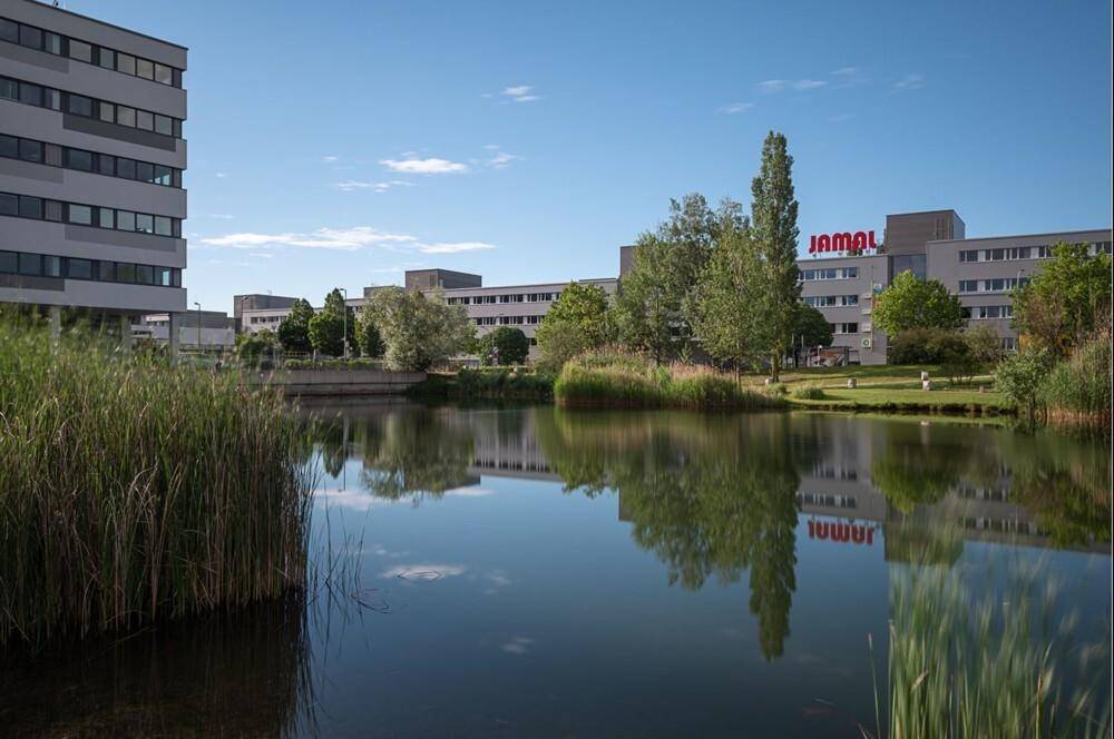 Bürogebäude umgeben von einem Teich mit Schilf und Bäumen unter sonnigem Himmel.
