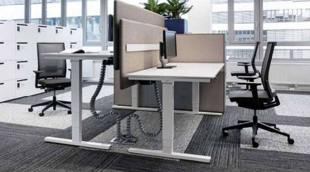 Moderner Büroraum mit höhenverstellbaren Schreibtischen, ergonomischen Stühlen und Teppichboden.